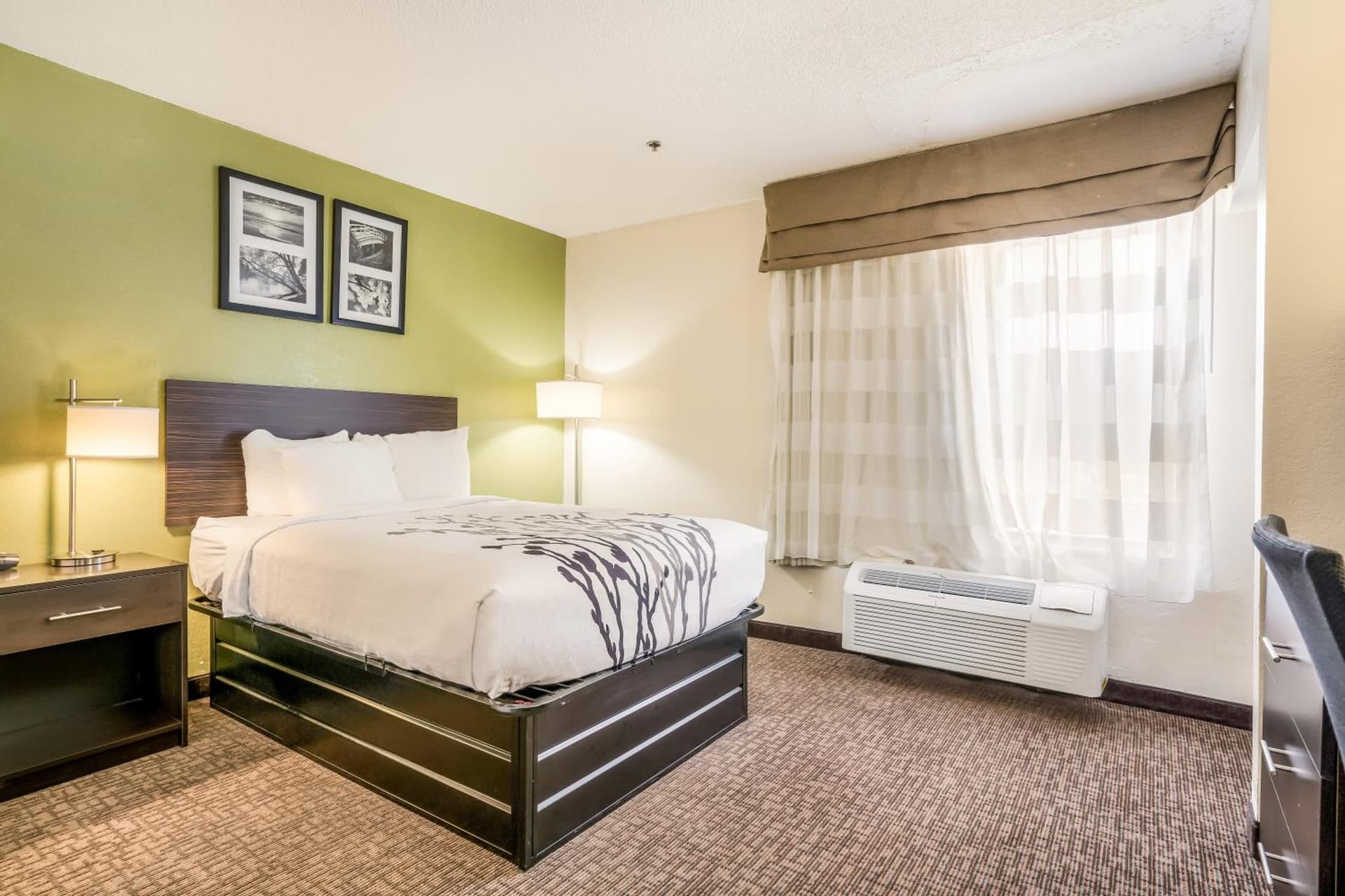 Sleep Inn & Suites Jacksonville near Camp Lejeune gallery photo in Jacksonville, NC — image 36