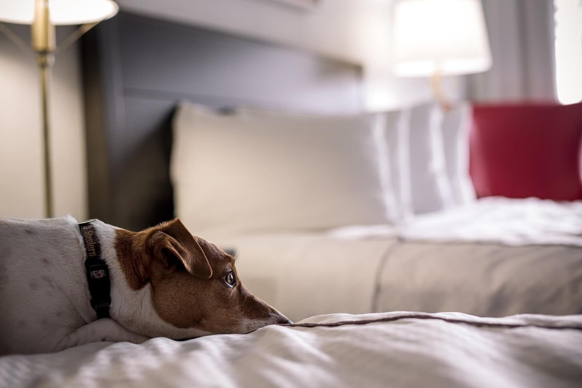 Capitol Hill Hotel property views in Washington, DC — gallery photo 3