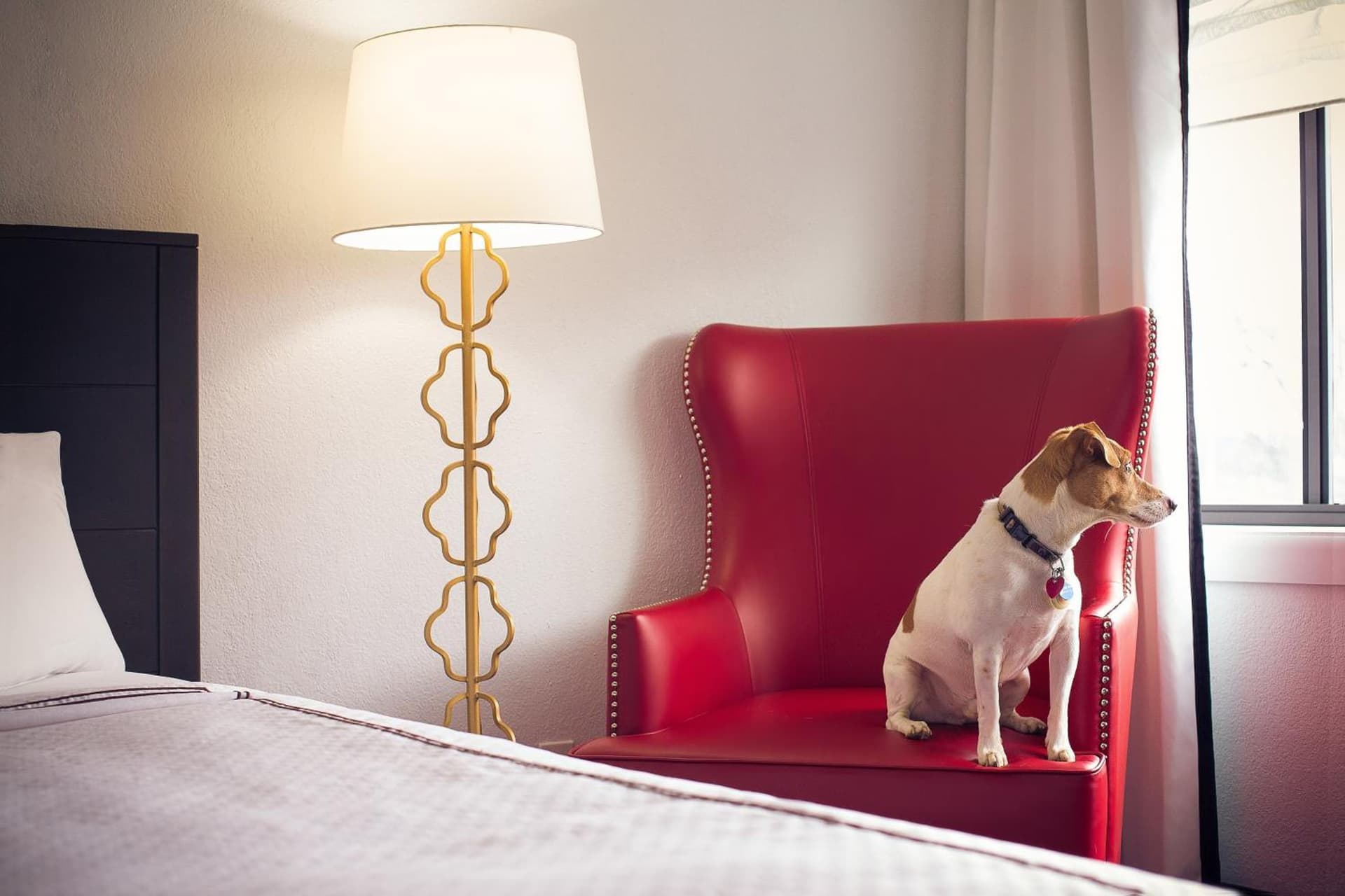 Capitol Hill Hotel gallery photo in Washington, DC — image 21
