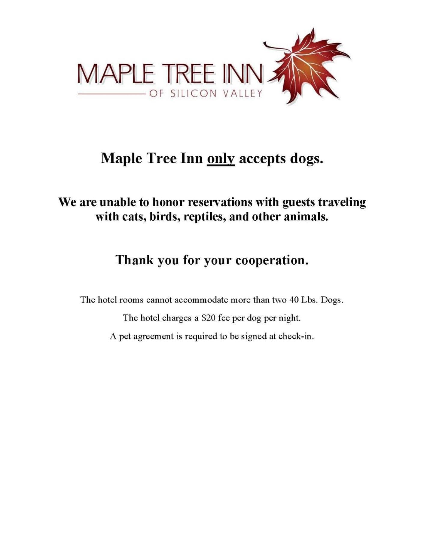 Maple Tree Inn gallery photo in Sunnyvale, CA — image 6