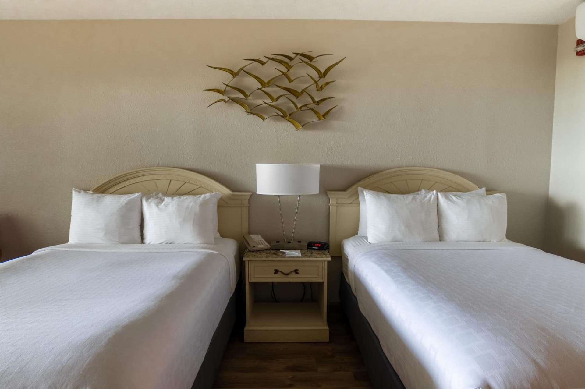 Emerald Beach Hotel Corpus Christi gallery photo in Corpus Christi, TX — image 16