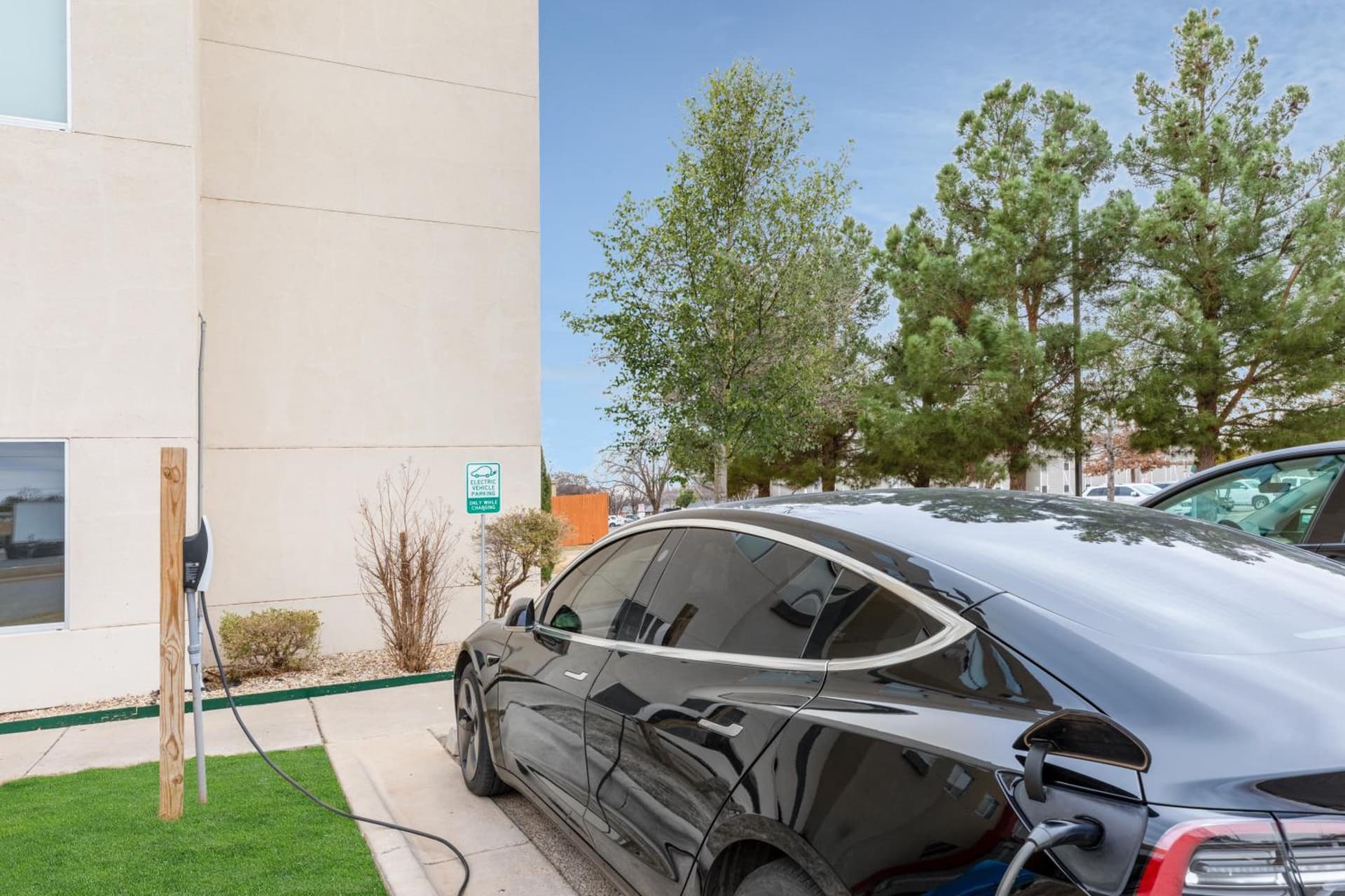 Hawthorn Suites by Wyndham Lubbock gallery photo in Lubbock, TX — image 55