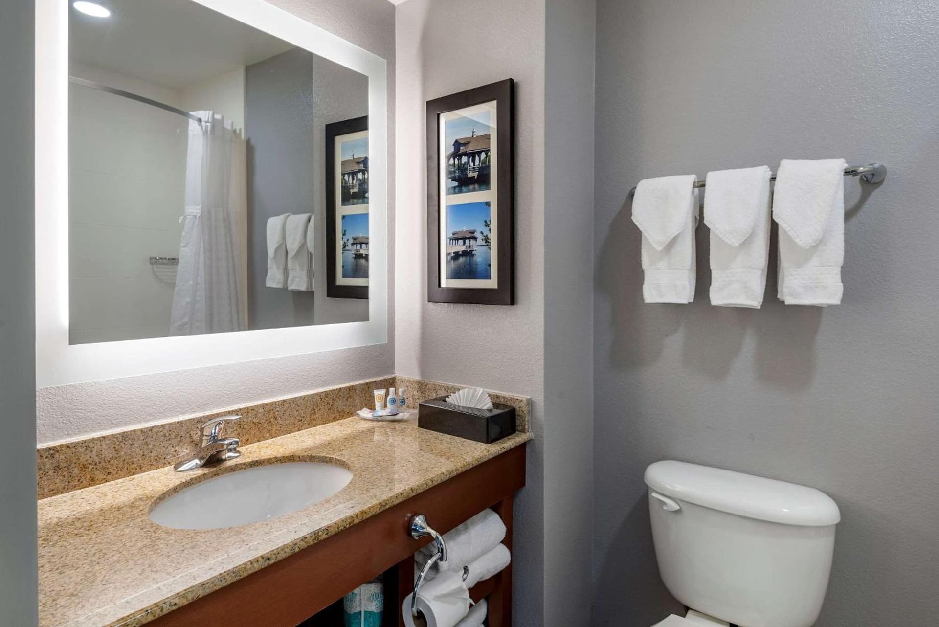 Comfort Suites near Birkdale Village- Huntersville gallery photo in Huntersville, NC — image 24