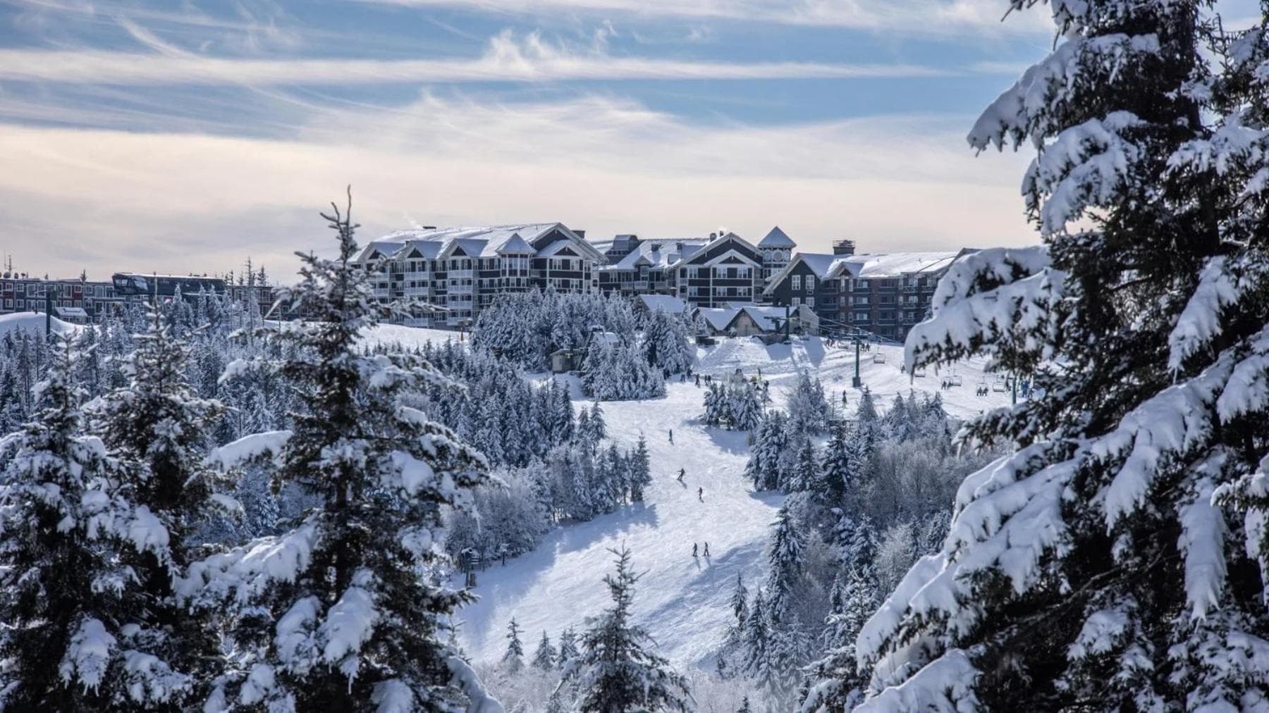 Snowshoe Ski-in & Ski-out at Silvercreek Resort - Family friendly, jacuzzi, hot tub, mountain views featured exterior or lobby in Snowshoe — similar hotel