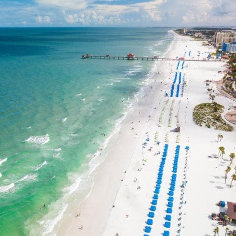 The Avalon Club gallery photo in Clearwater Beach, FL — image 40