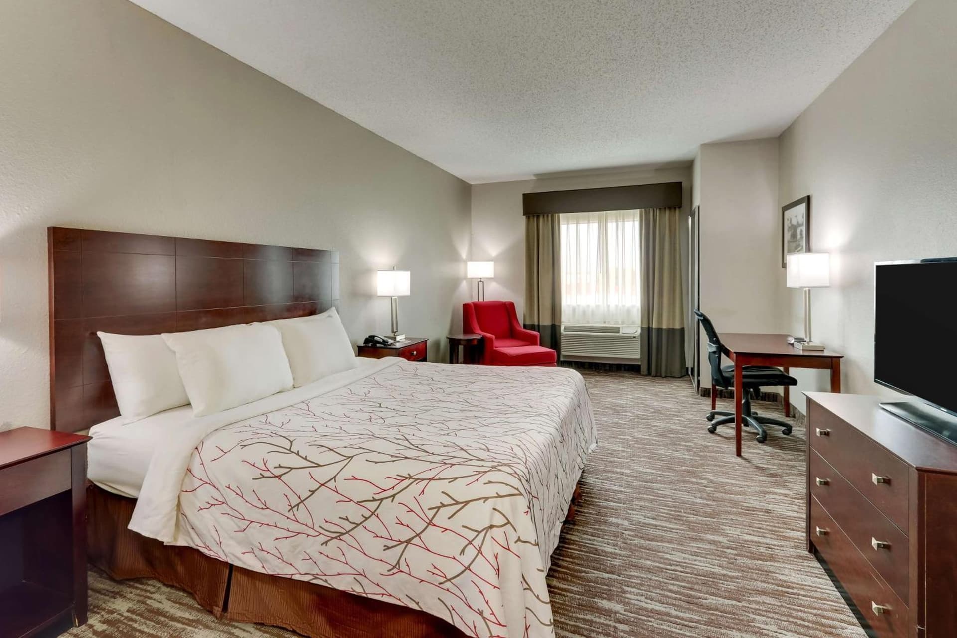 Best Western Plus University Inn & Suites gallery photo in Wichita Falls, TX — image 8