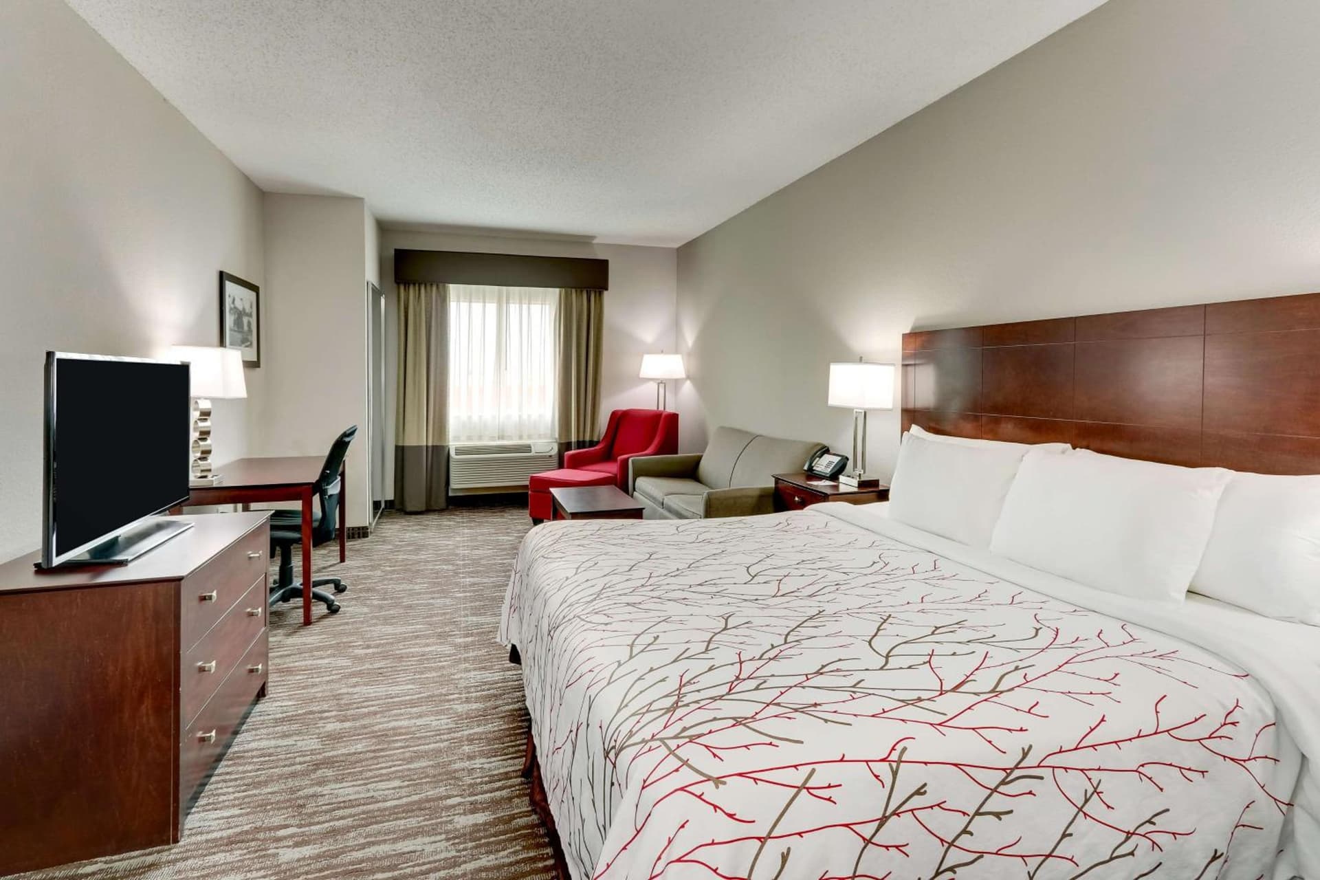 Best Western Plus University Inn & Suites gallery photo in Wichita Falls, TX — image 26