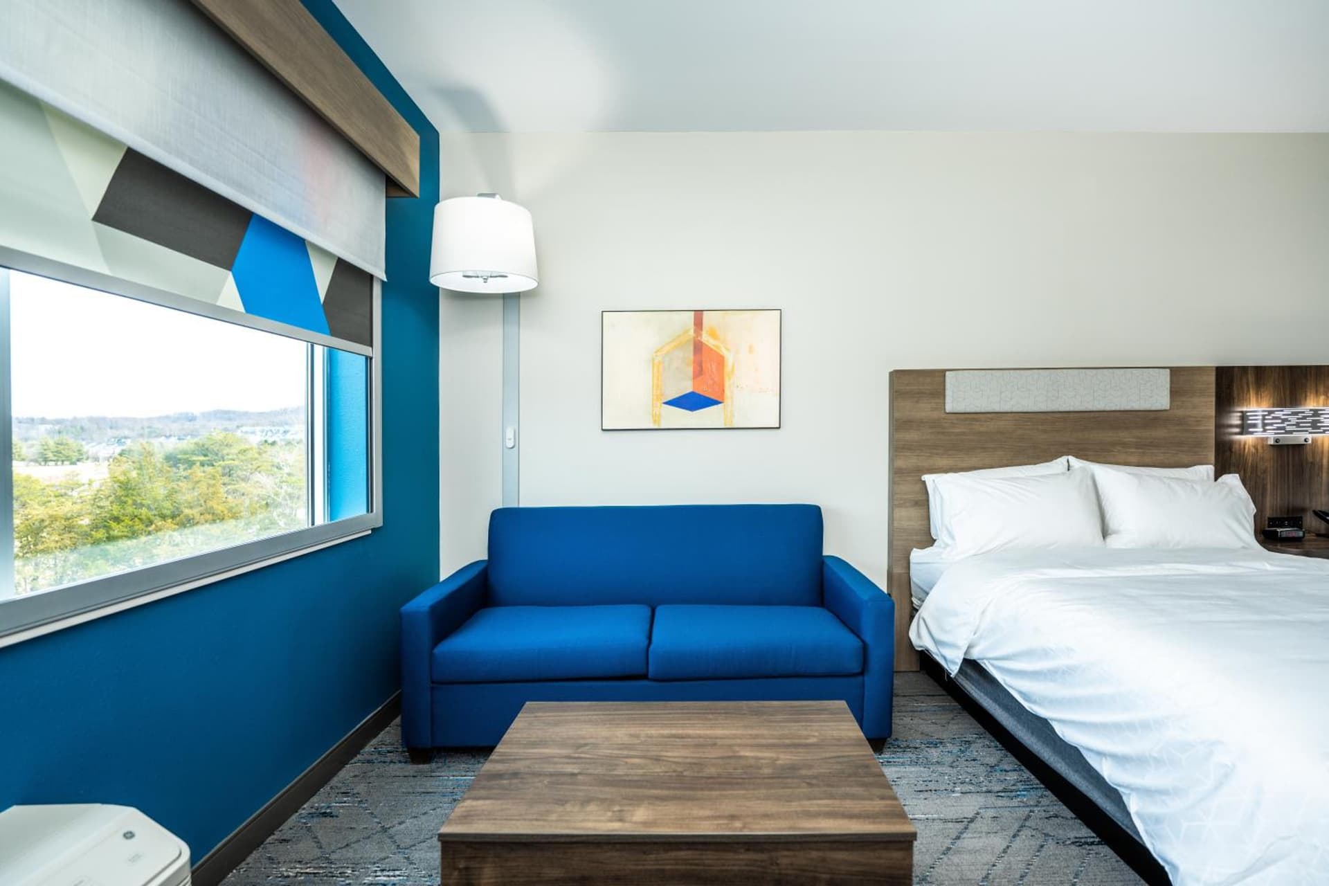 Holiday Inn Express & Suites Charlottesville by IHG gallery photo in Charlottesville, VA — image 51