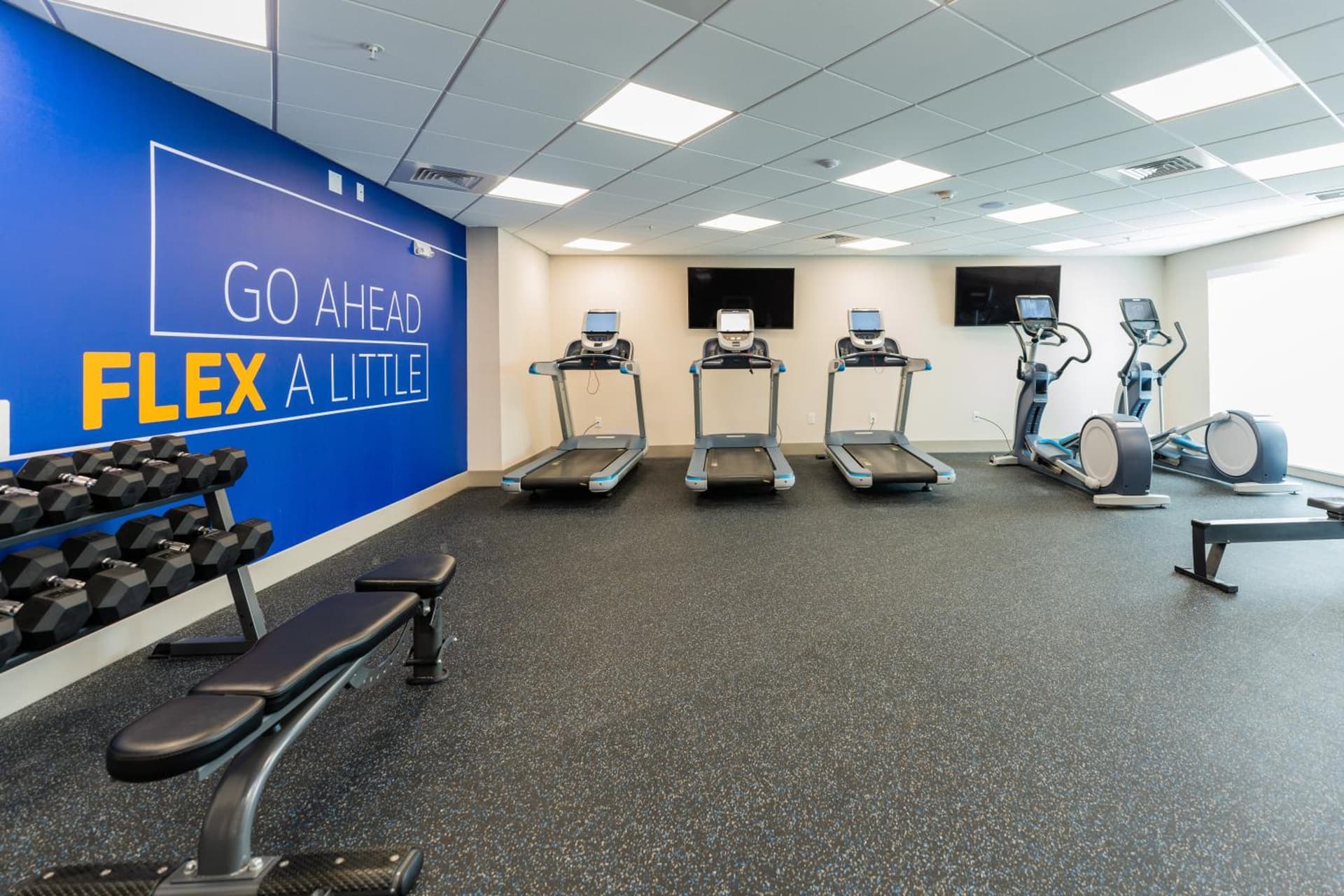 Holiday Inn Express & Suites Charlottesville by IHG gallery photo in Charlottesville, VA — image 112