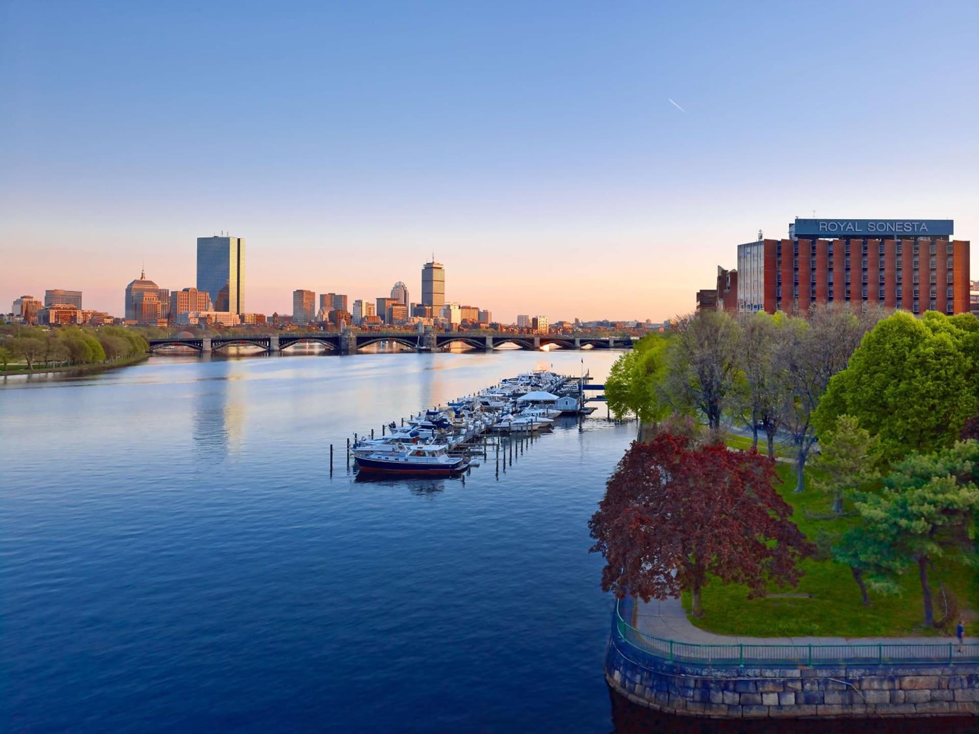 The Royal Sonesta Boston gallery photo in Cambridge, MA — image 84
