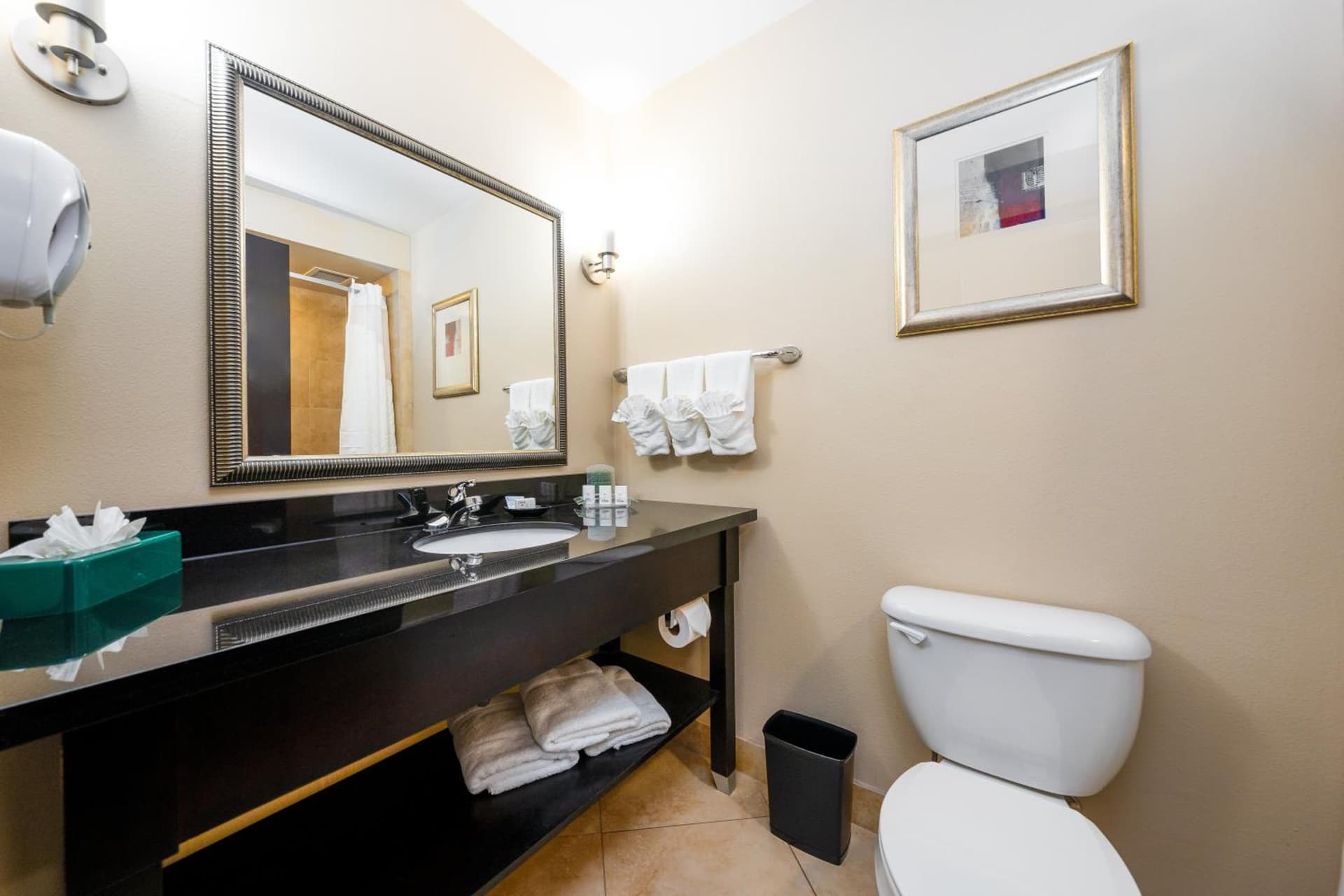 Holiday Inn Temple - Belton by IHG gallery photo in Temple, TX — image 32