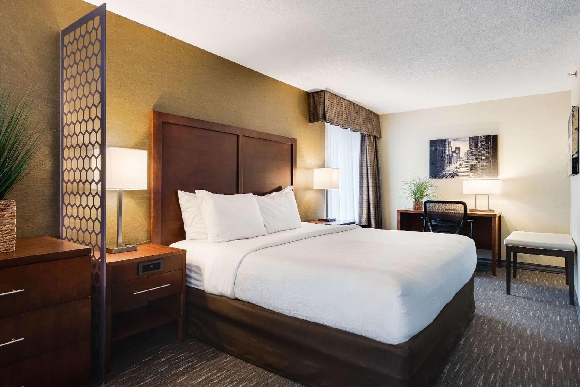 Best Western Chicago - Downers Grove gallery photo in Downers Grove, IL — image 6