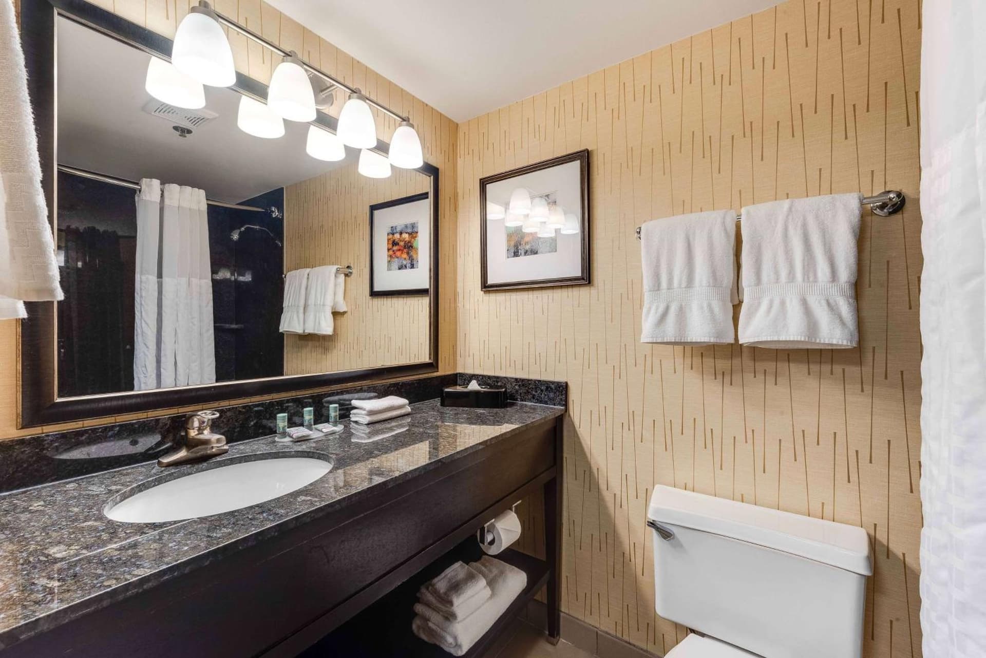 Best Western Chicago - Downers Grove gallery photo in Downers Grove, IL — image 27