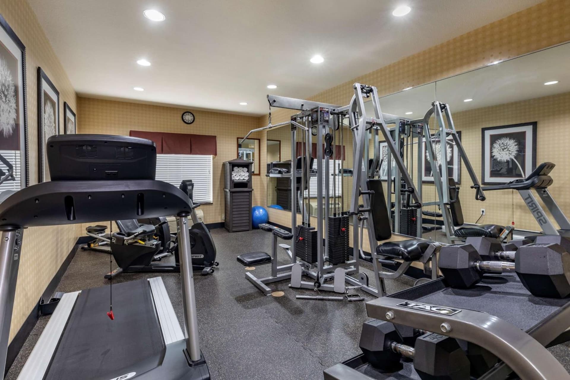 Best Western Plus DFW Airport West Euless gallery photo in Euless, TX — image 5