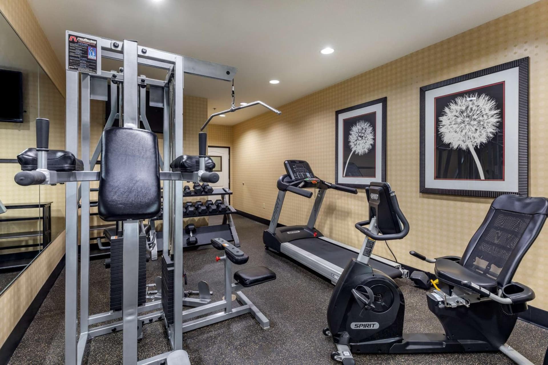 Best Western Plus DFW Airport West Euless gallery photo in Euless, TX — image 14