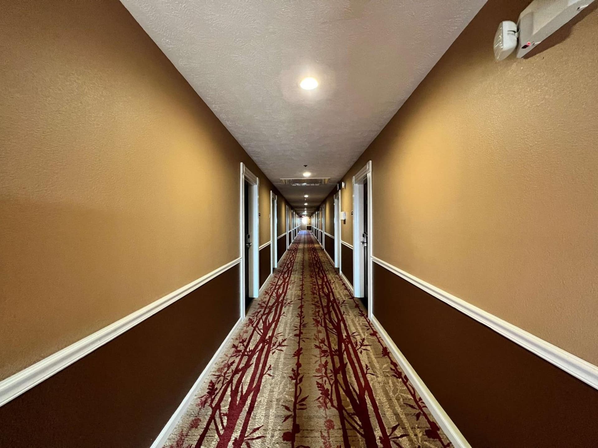 Best Western Americana gallery photo in Dinuba, CA — image 37