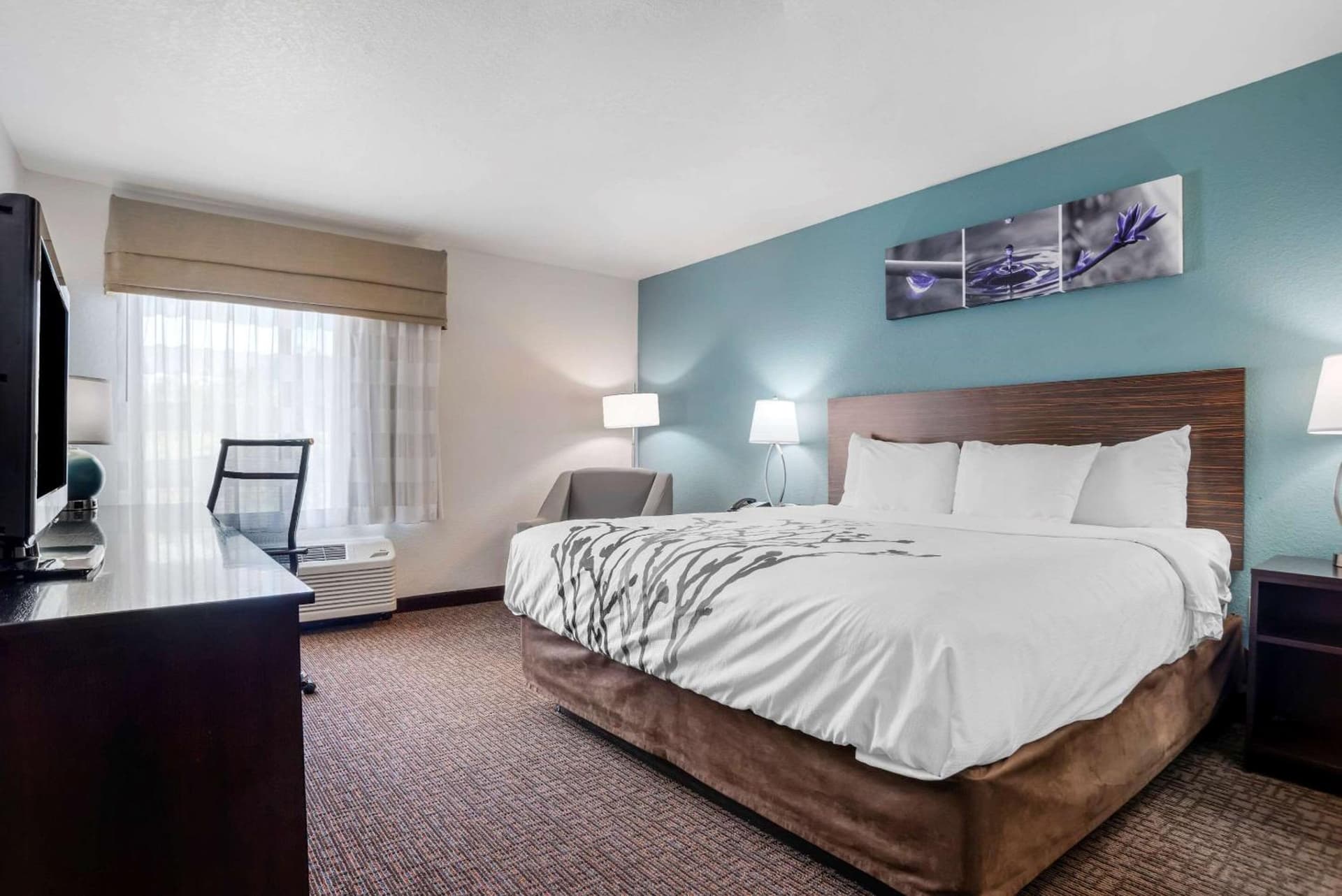 Sleep Inn & Suites Auburn Campus Area I-85 gallery photo in Auburn, AL — image 16