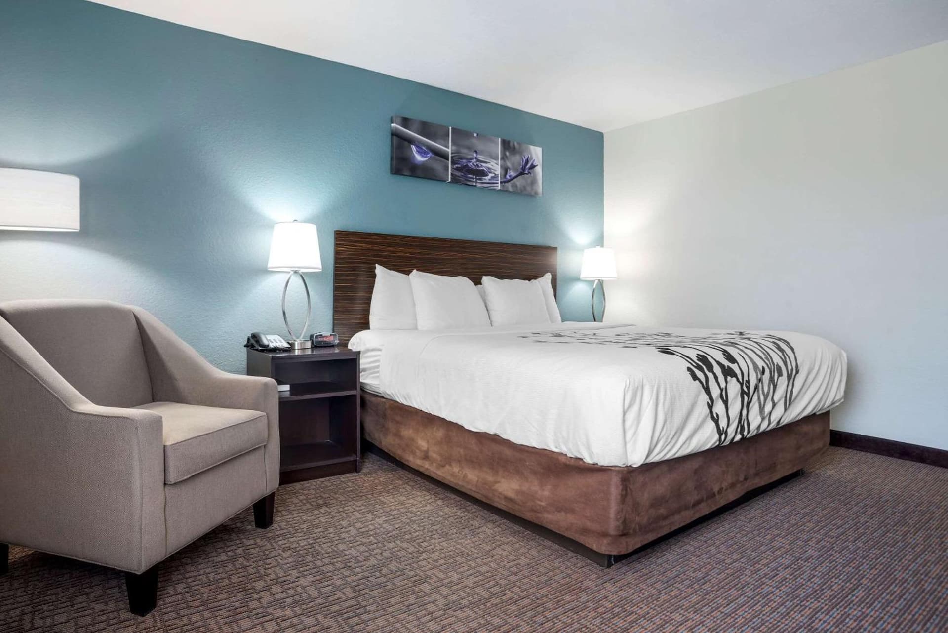 Sleep Inn & Suites Auburn Campus Area I-85 gallery photo in Auburn, AL — image 30