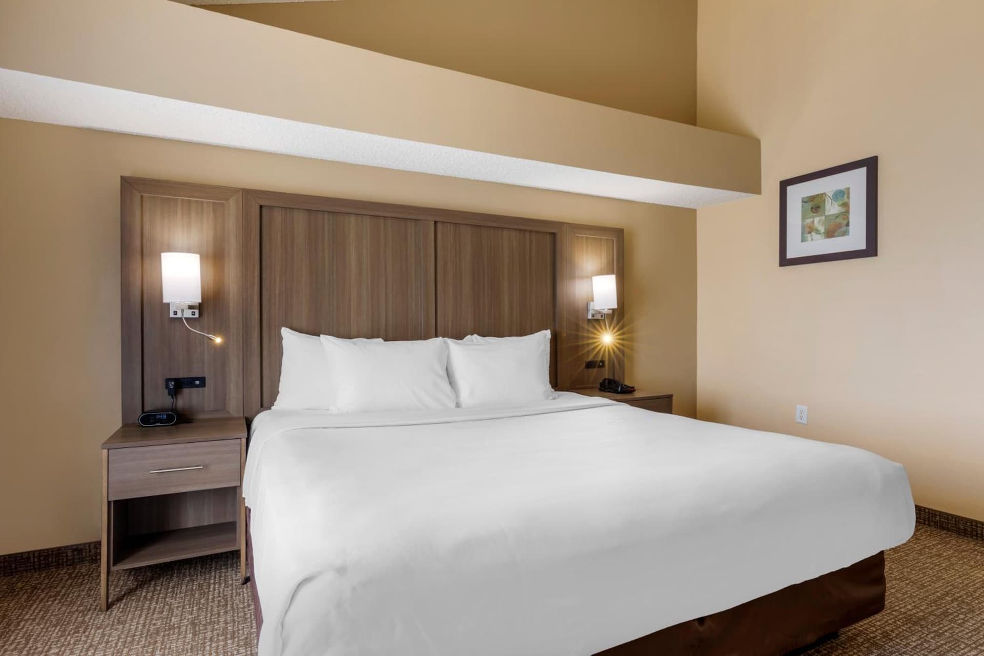Comfort Suites DFW Airport gallery photo in Irving, TX — image 32