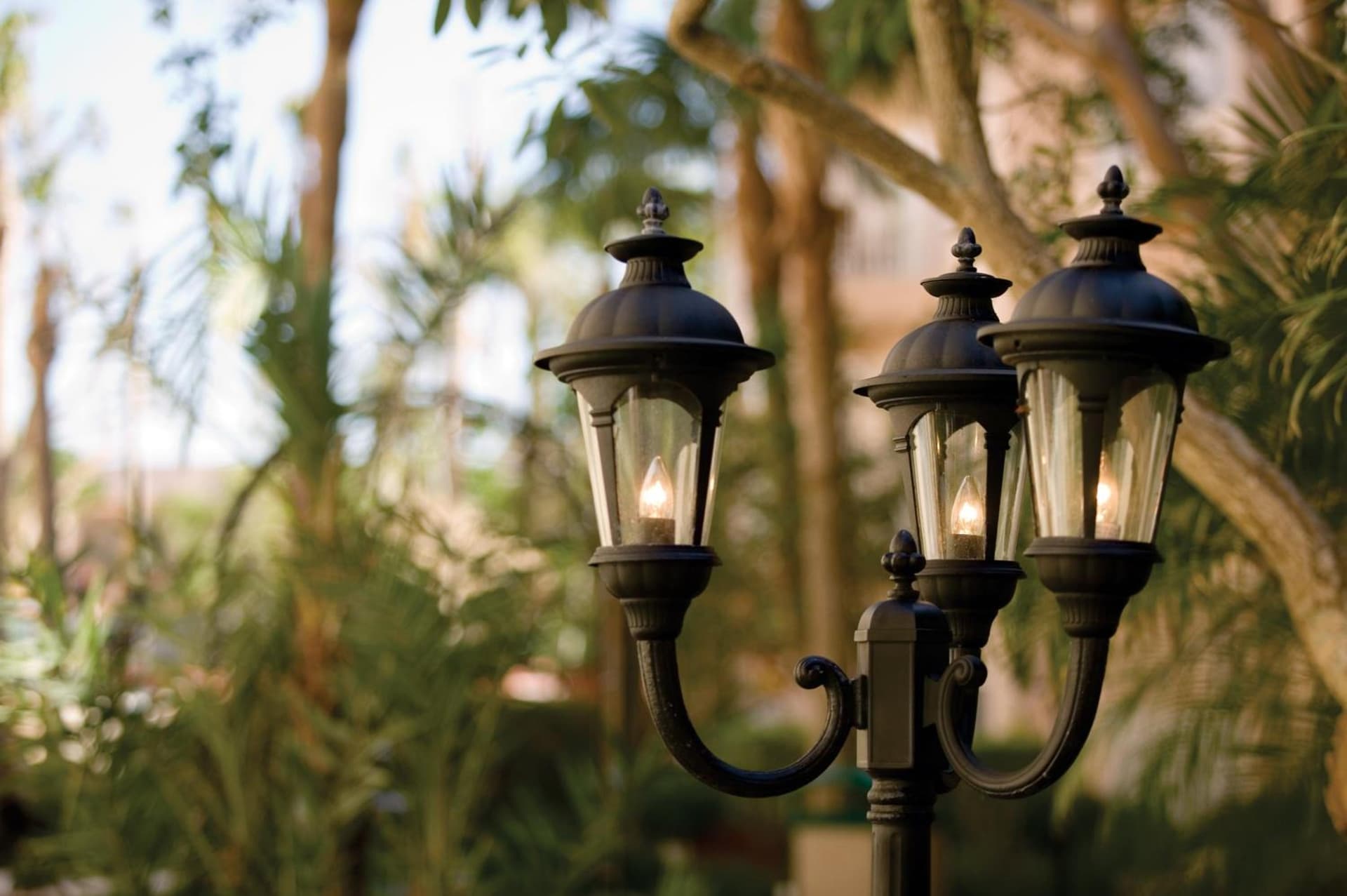 Club Wyndham Sea Gardens gallery photo in Pompano Beach, FL — image 4