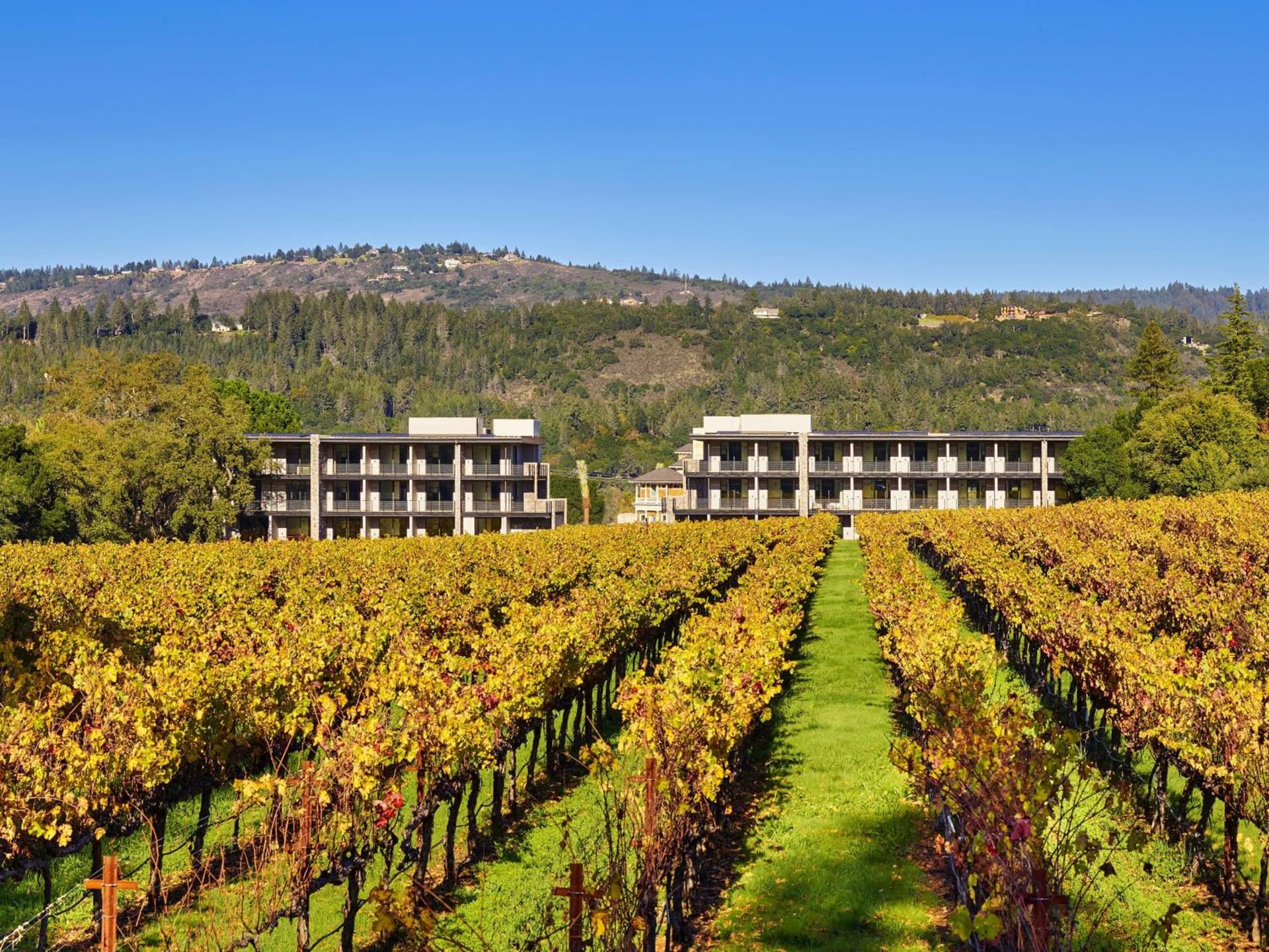 Alila Napa Valley, a Hyatt Resort gallery photo in St. Helena, CA — image 27