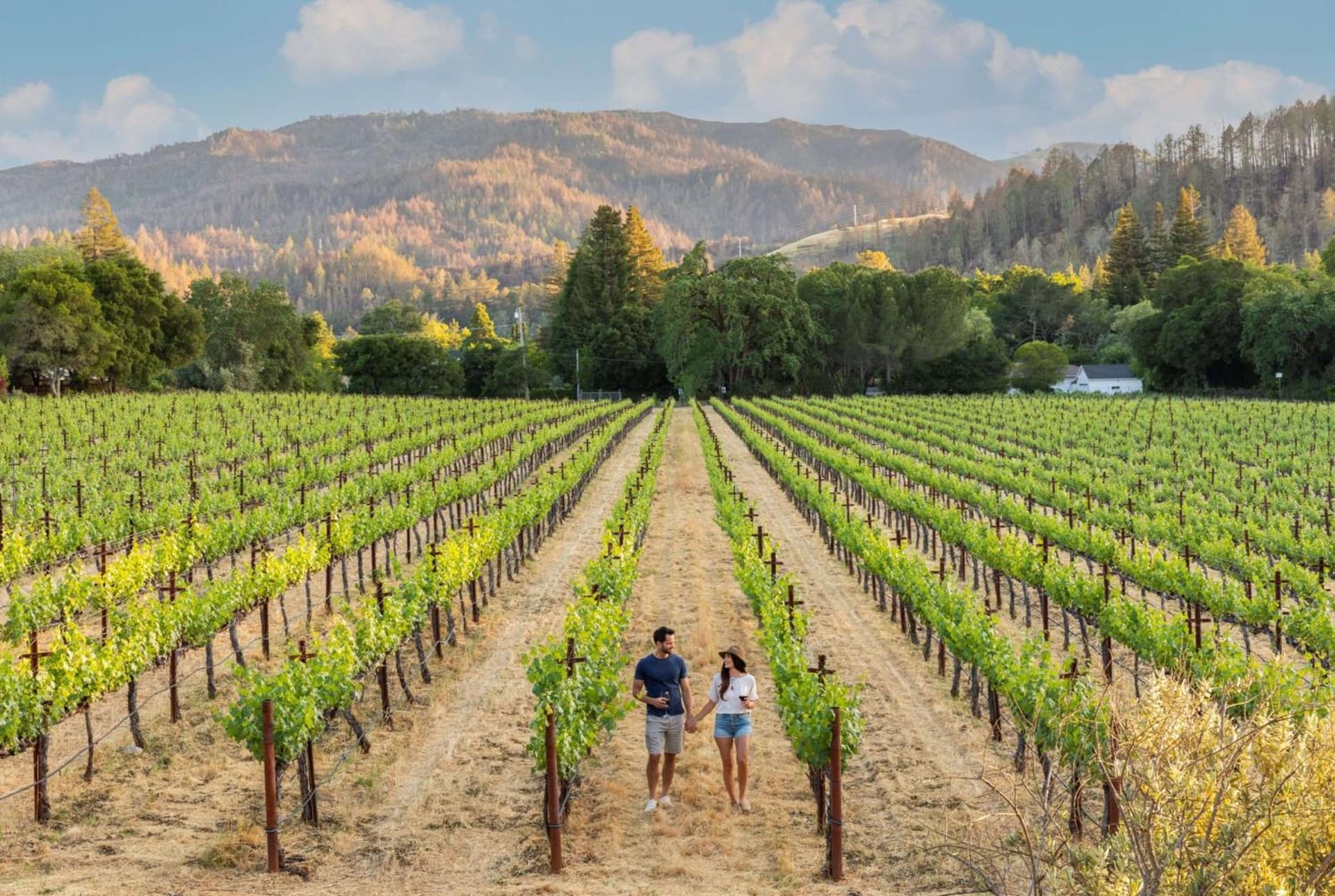 Alila Napa Valley, a Hyatt Resort gallery photo in St. Helena, CA — image 19