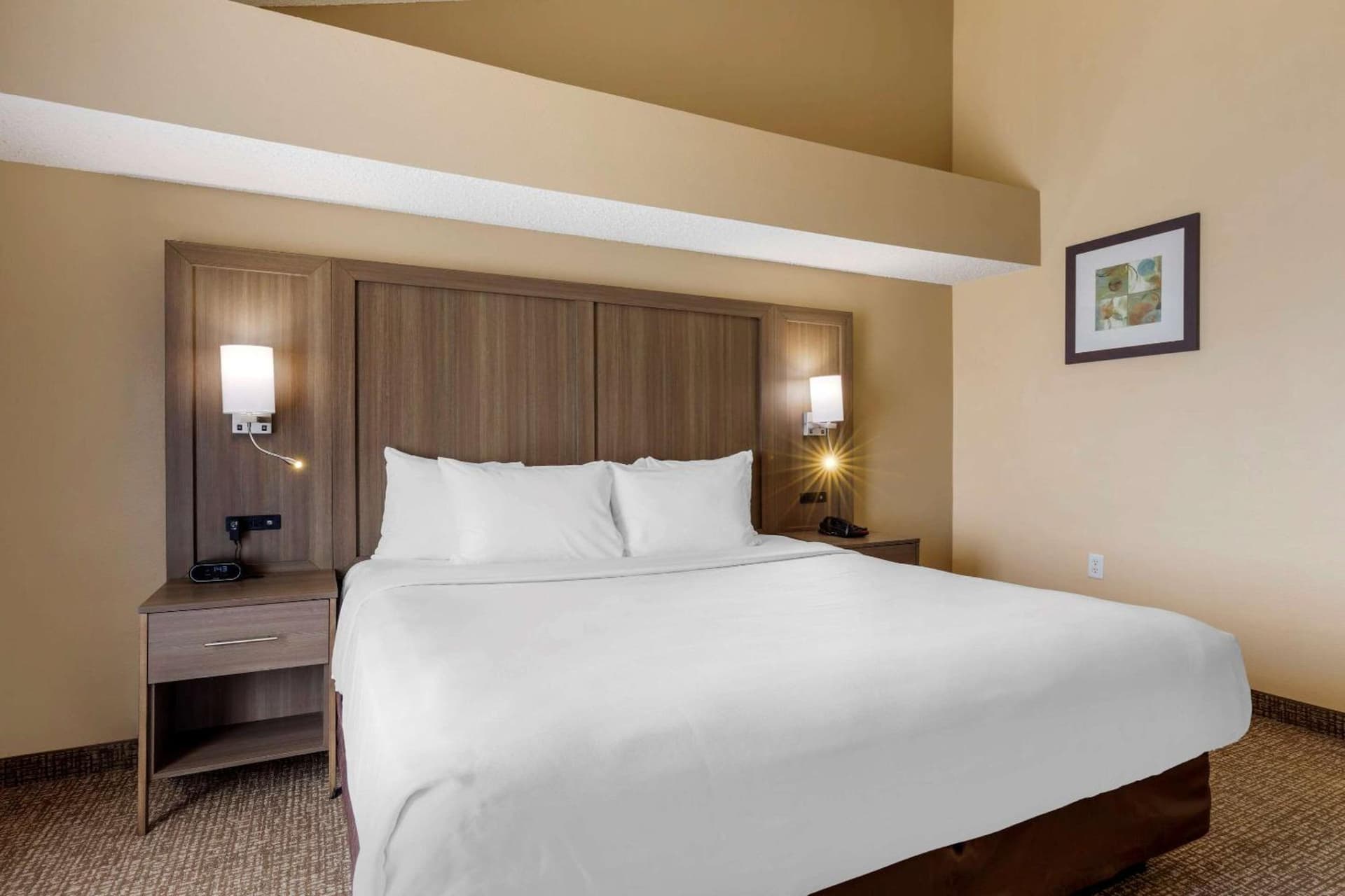 Comfort Suites DFW Airport gallery photo in Irving, TX — image 63