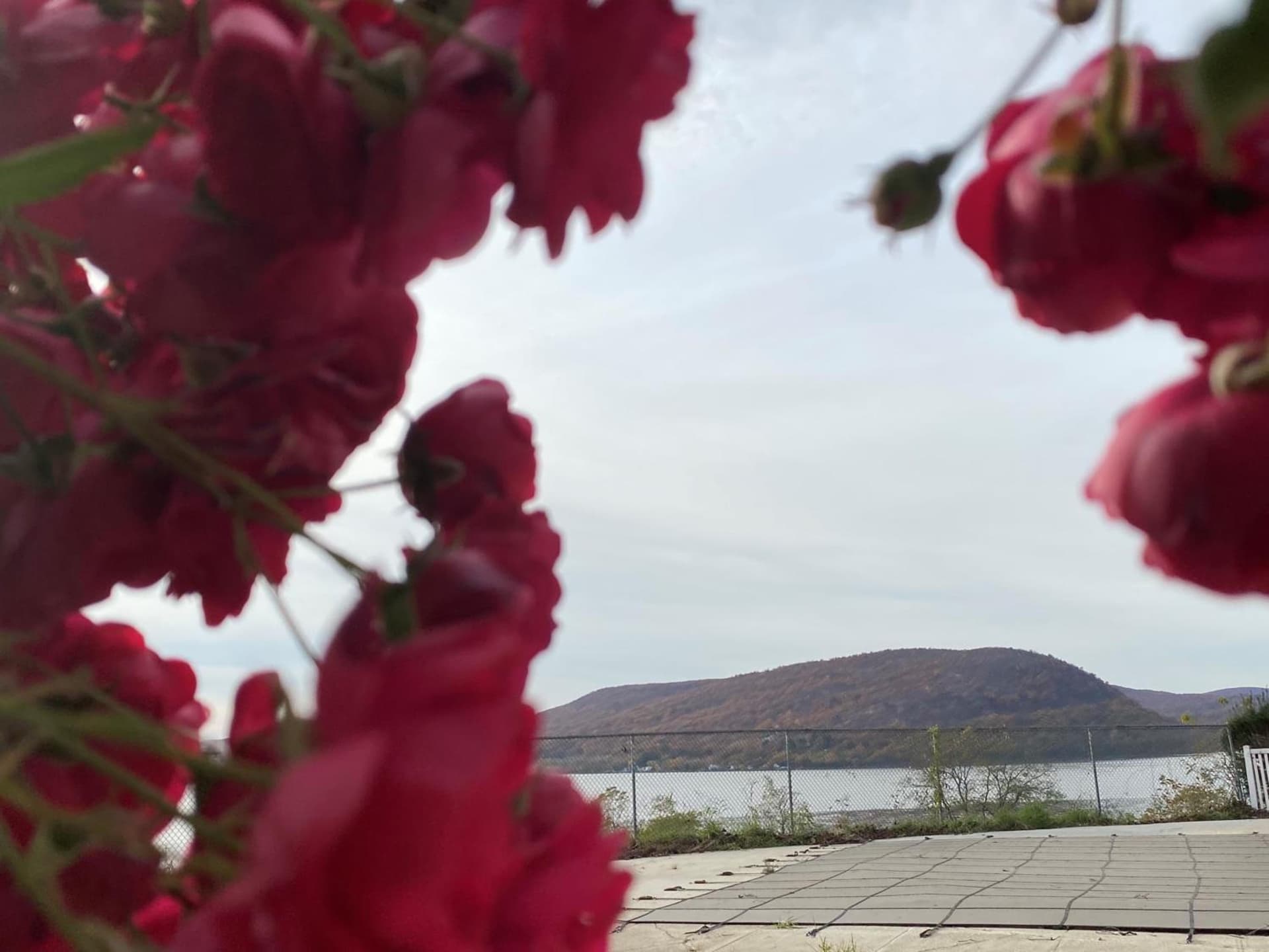 Inn on the Hudson gallery photo in Peekskill, NY — image 22