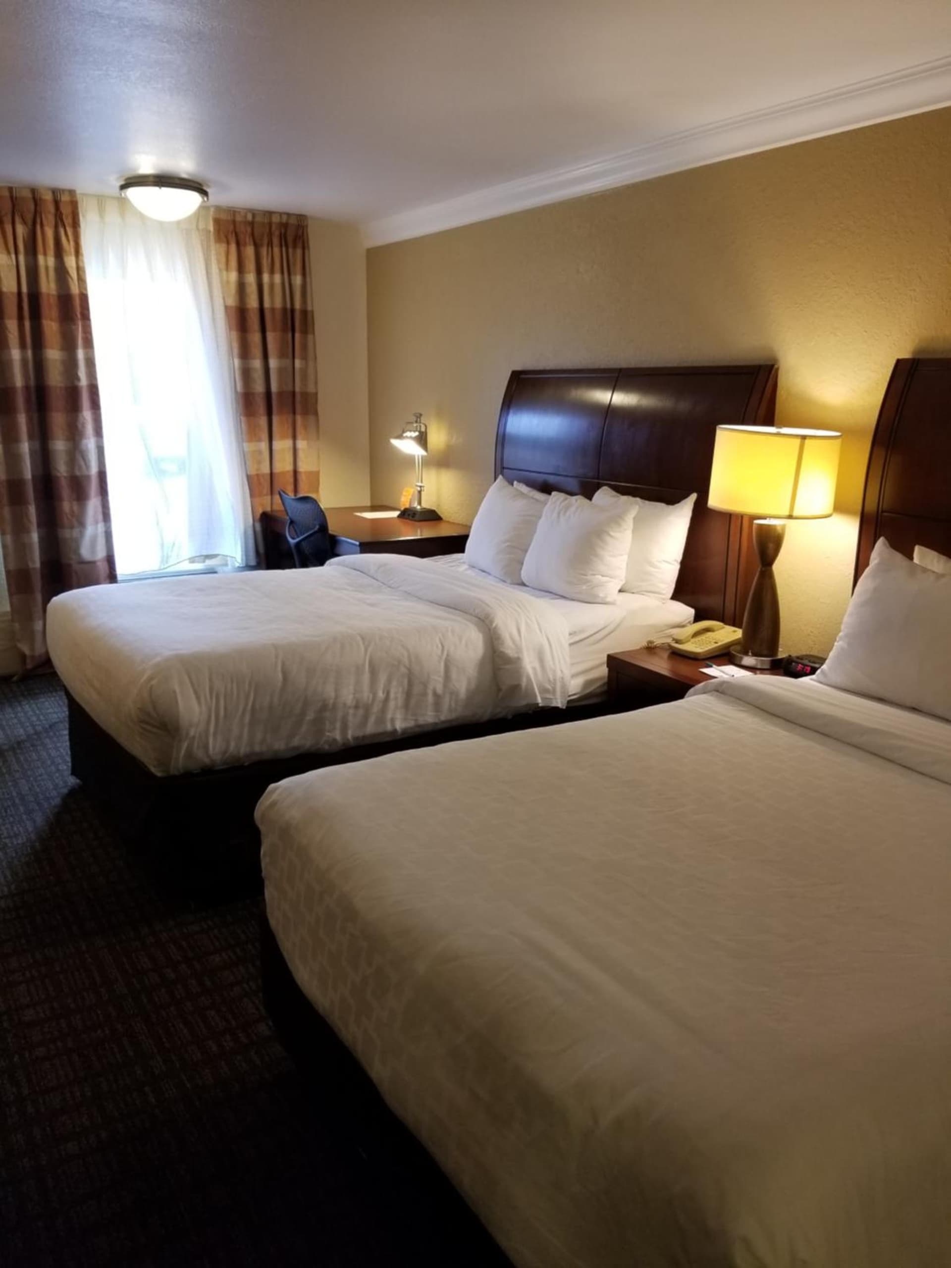 Clarion Inn & Suites Central Clearwater Beach gallery photo in Clearwater, FL — image 53