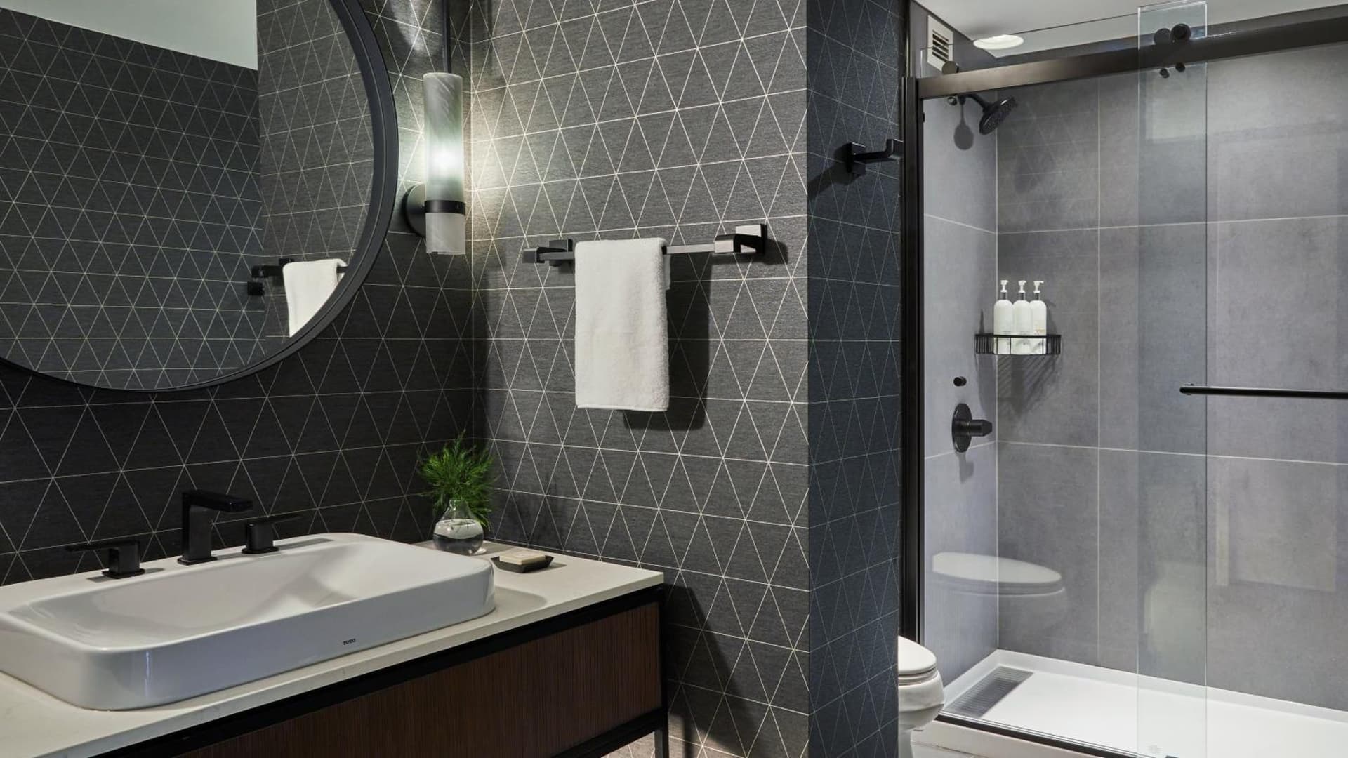 Kimpton Marlowe by IHG gallery photo in Cambridge, MA — image 5