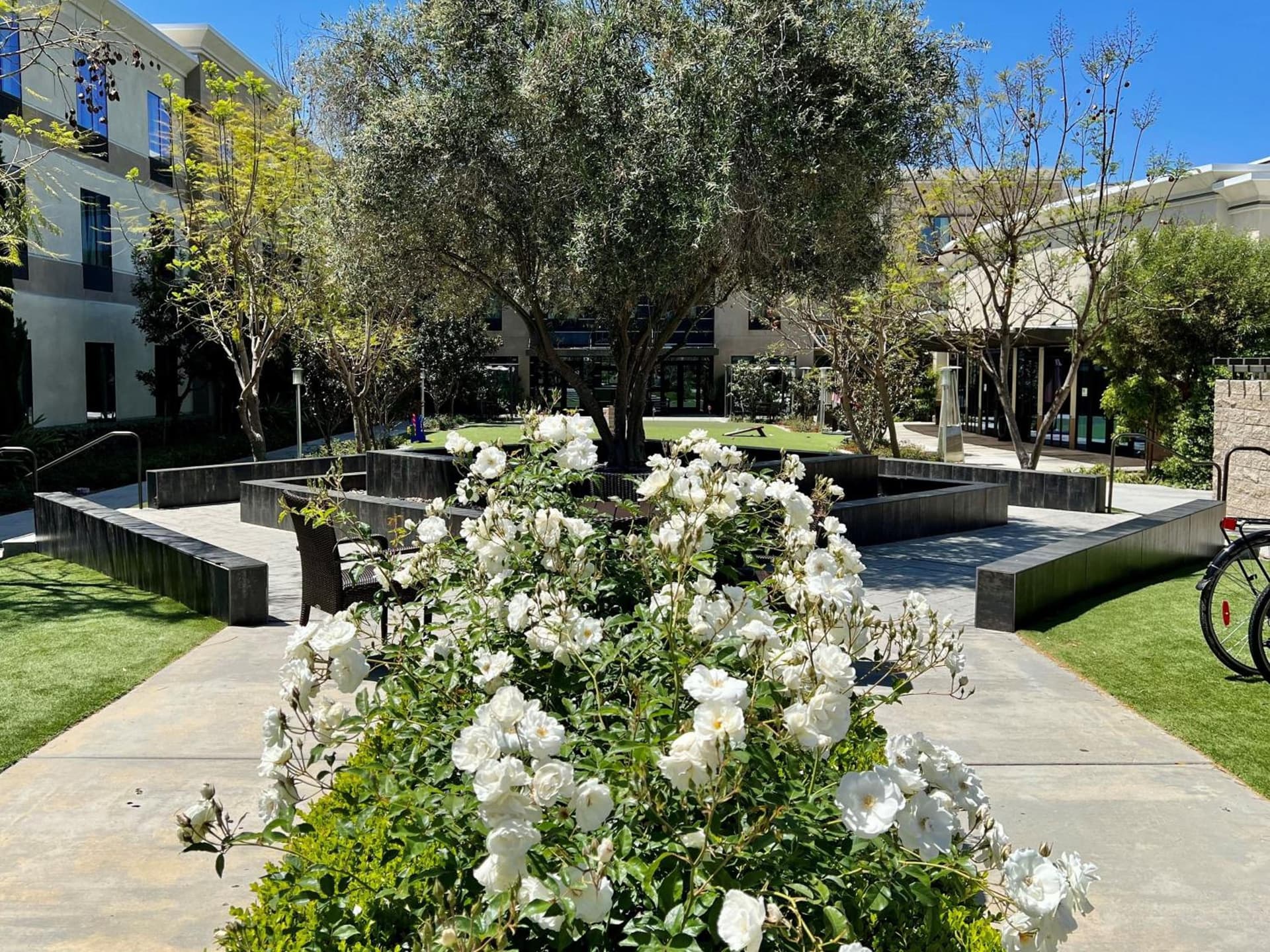 Staybridge Suites Carlsbad/San Diego by IHG gallery photo in Carlsbad, CA — image 35