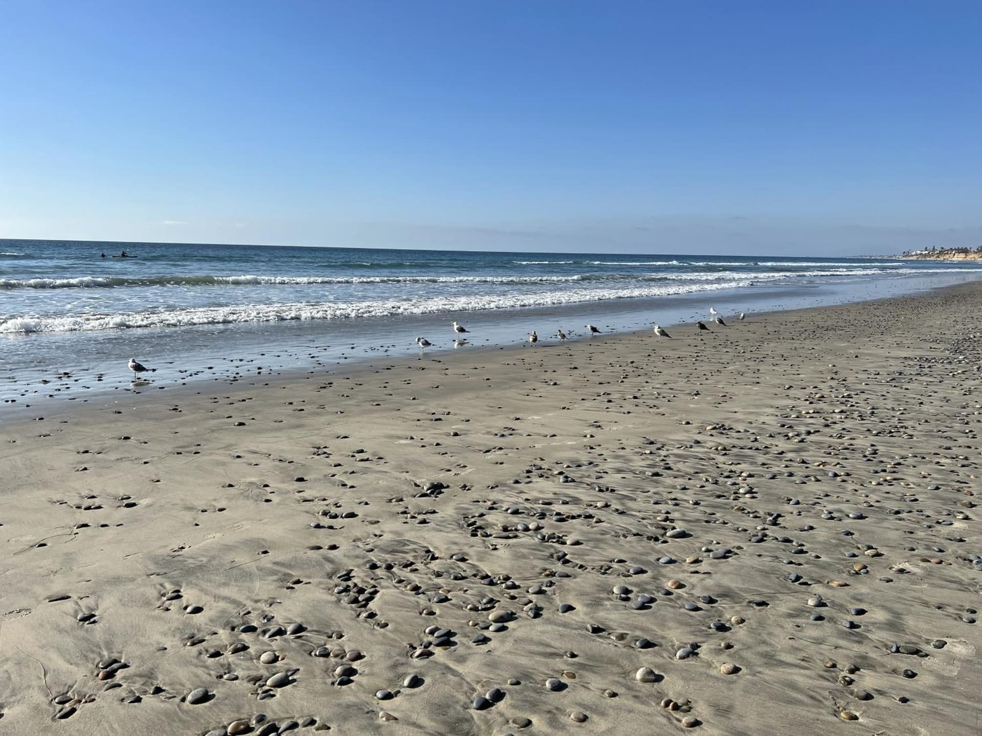 Holiday Inn Carlsbad/San Diego by IHG gallery photo in Carlsbad, CA — image 81