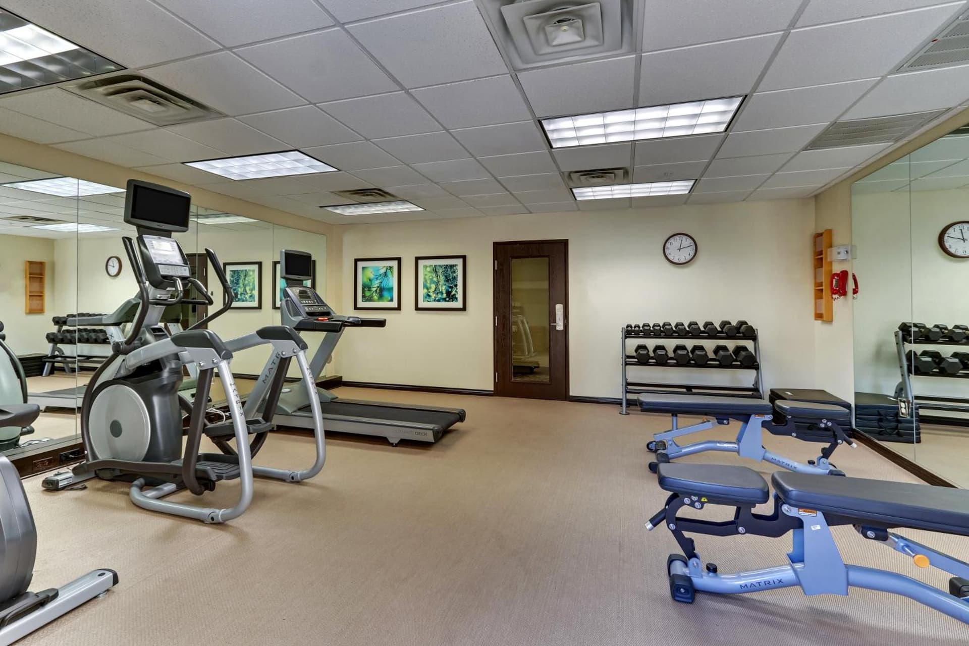 Staybridge Suites San Angelo by IHG gallery photo in San Angelo, TX — image 4