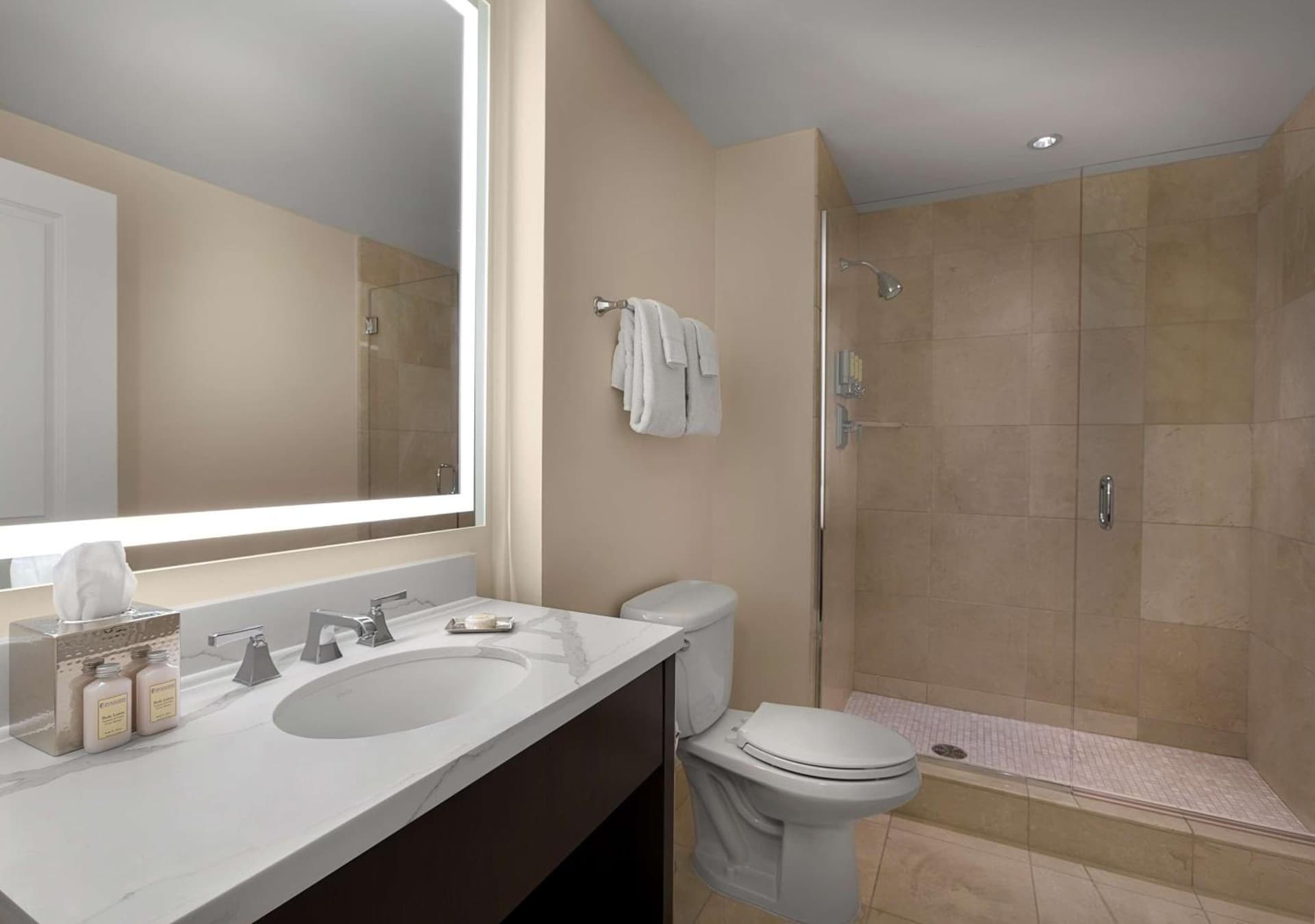 The Royal Sonesta Chase Park Plaza St Louis gallery photo in Saint Louis, MO — image 41