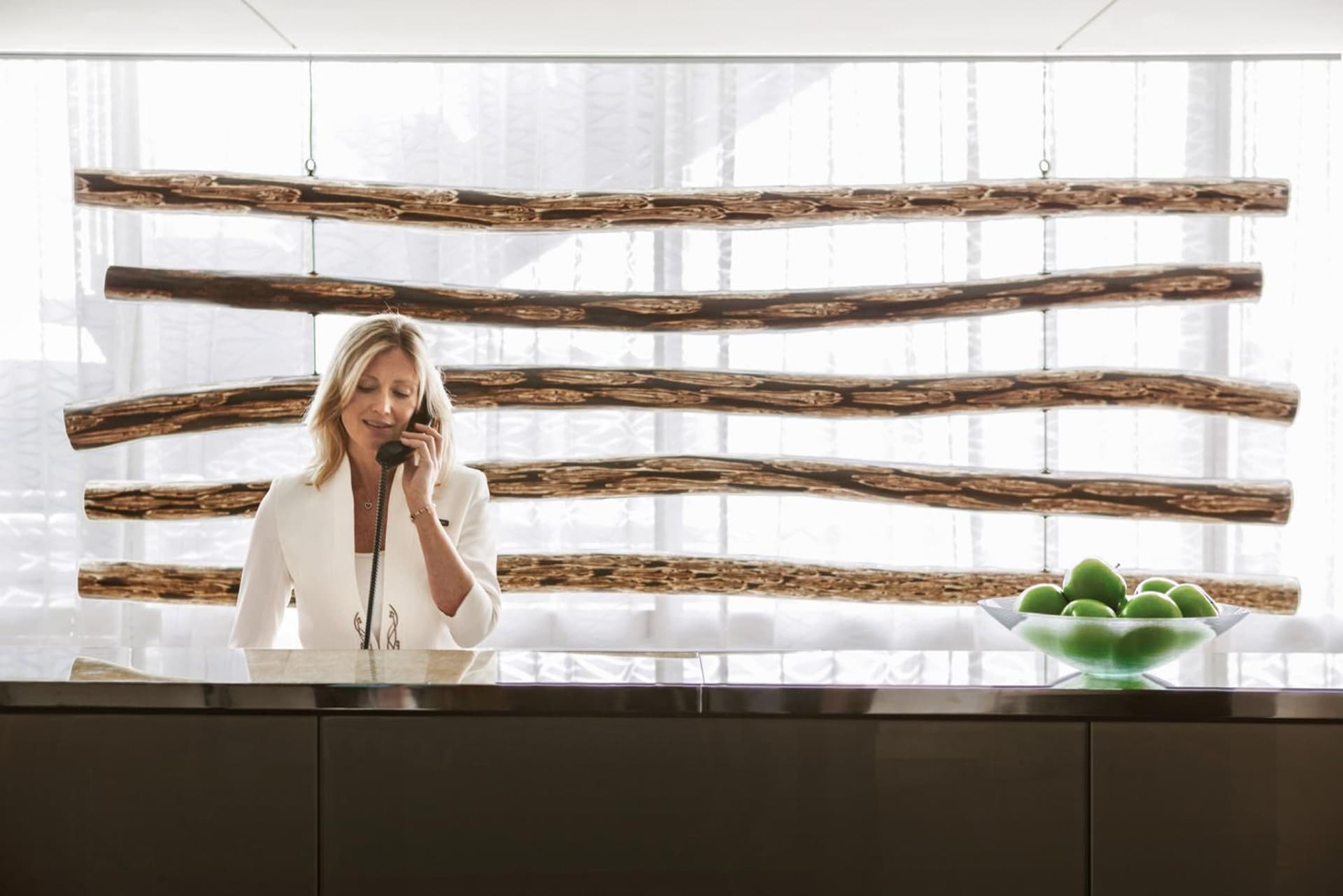 Four Seasons Baltimore gallery photo in Baltimore, MD — image 10