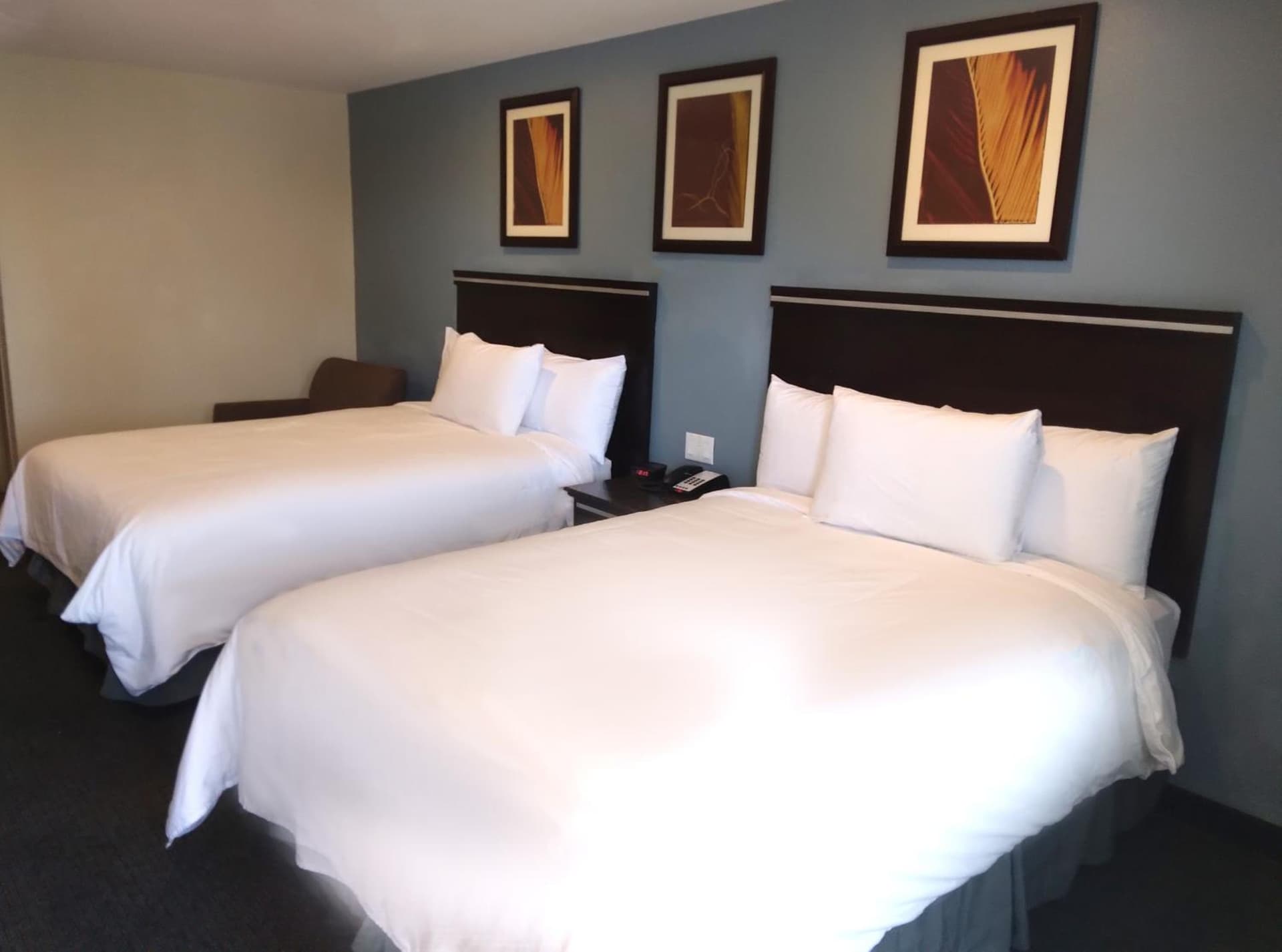 SureStay Hotel by Best Western Chula Vista San Diego Bay property views in Chula Vista, CA — gallery photo 3