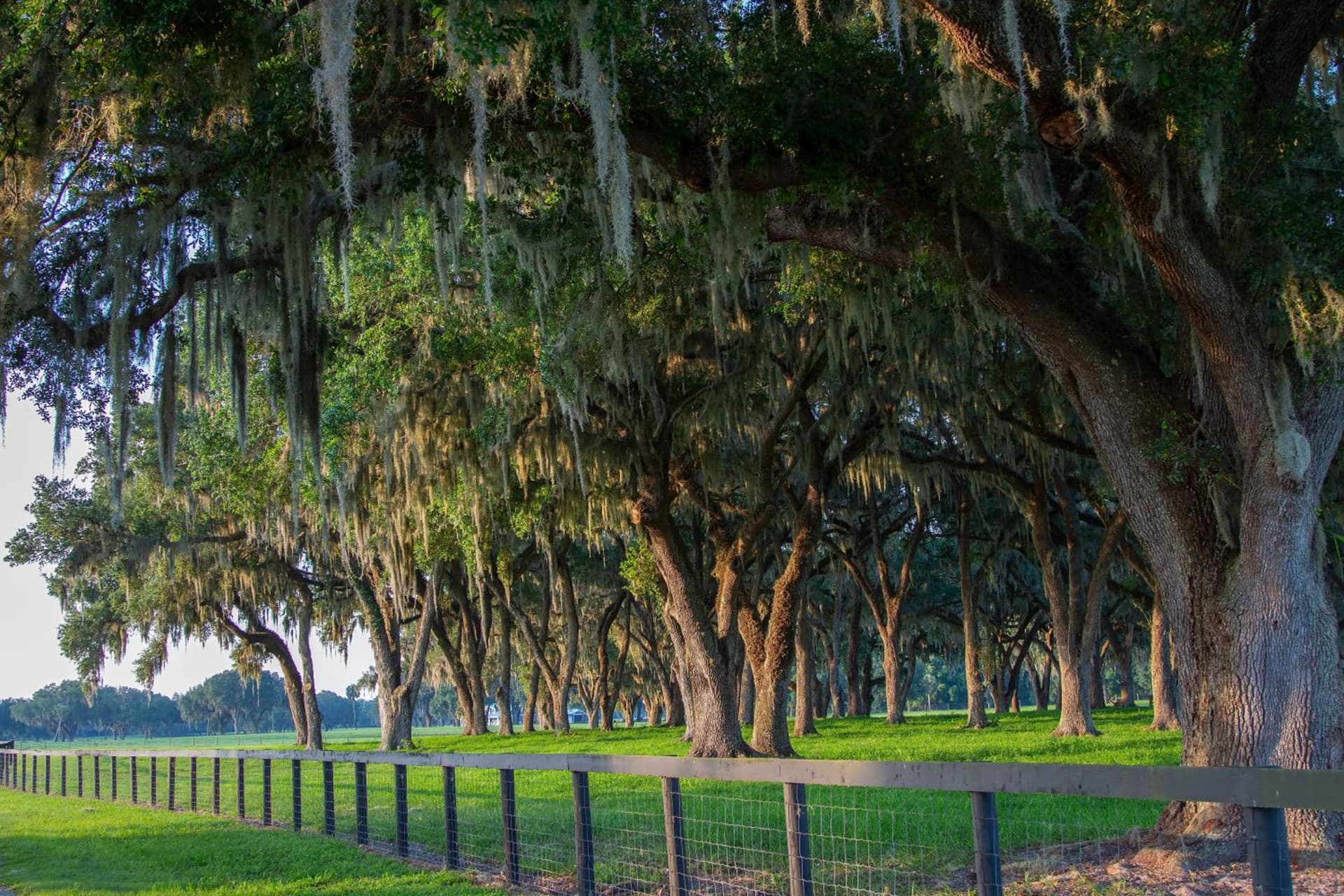 Holiday Inn Hotel & Suites Ocala Conference Center by IHG gallery photo in Ocala, FL — image 23
