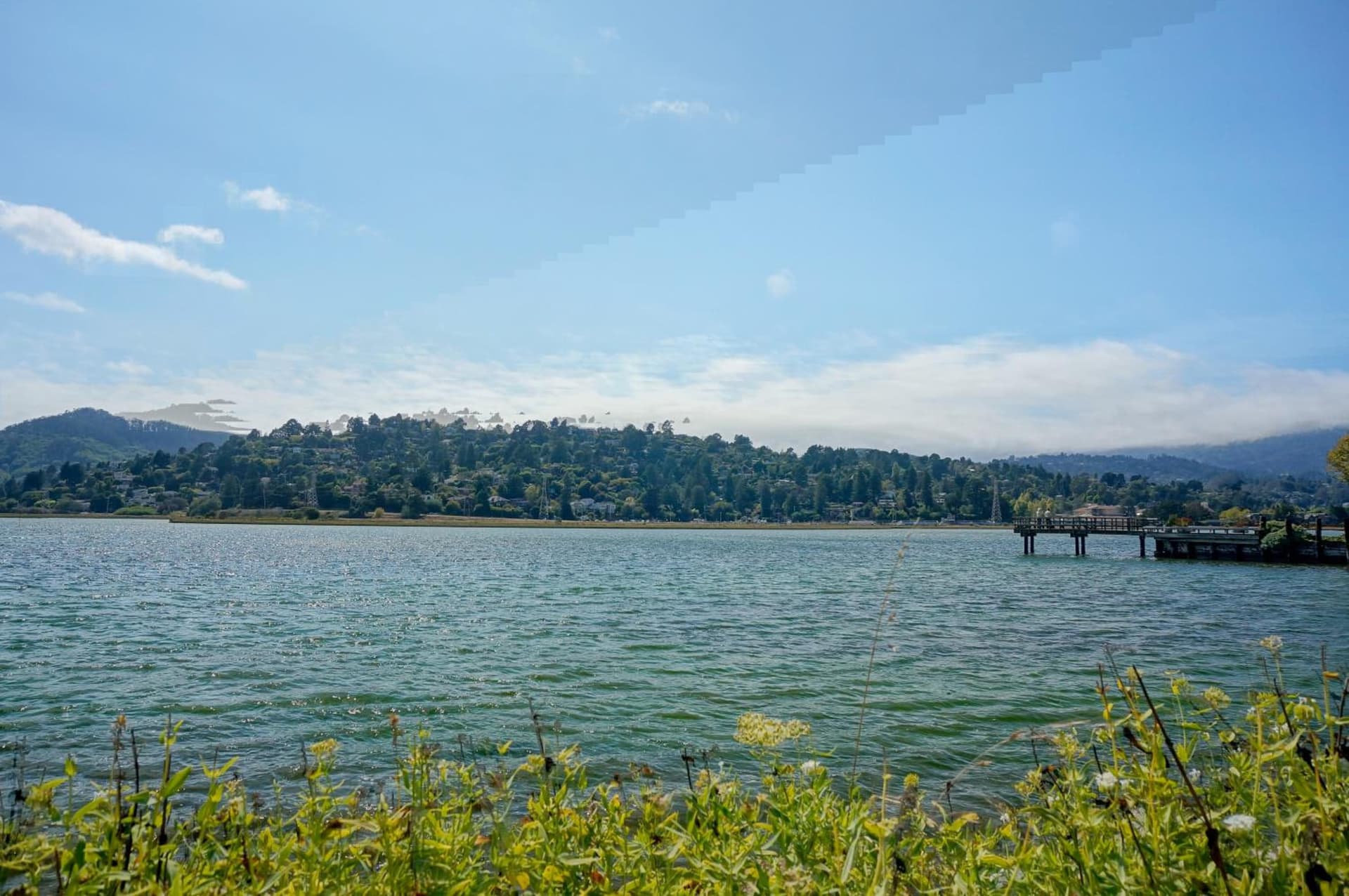 Acqua Hotel gallery photo in Mill Valley, CA — image 12