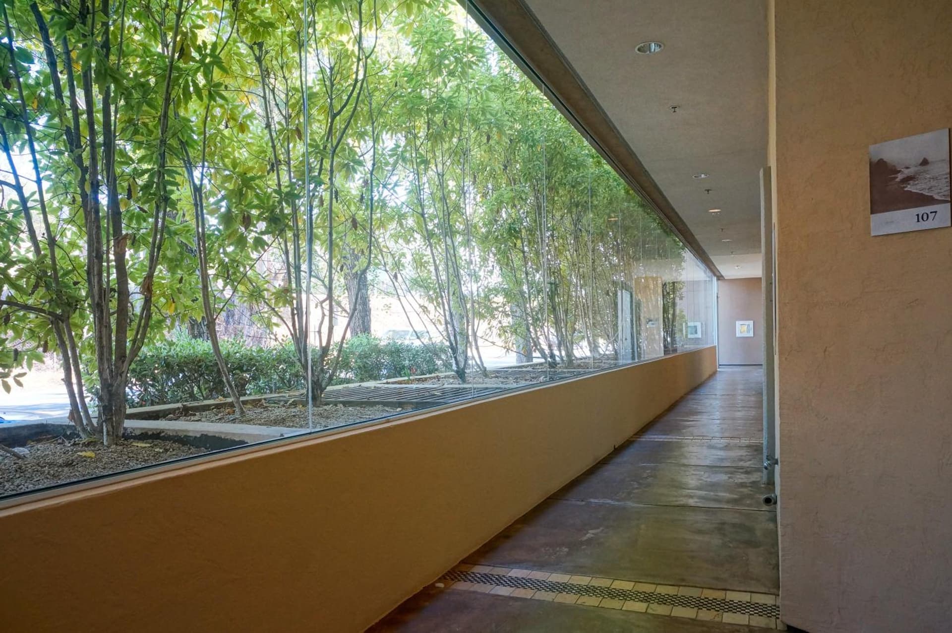 Acqua Hotel gallery photo in Mill Valley, CA — image 31