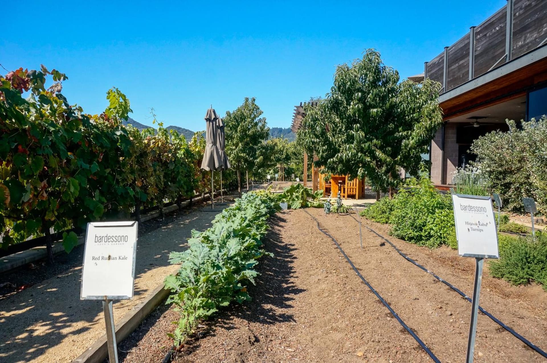 Bardessono Hotel and Spa gallery photo in Yountville, CA — image 22
