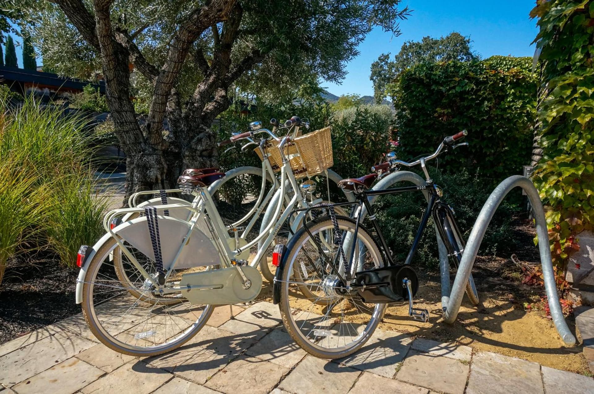 Bardessono Hotel and Spa gallery photo in Yountville, CA — image 43