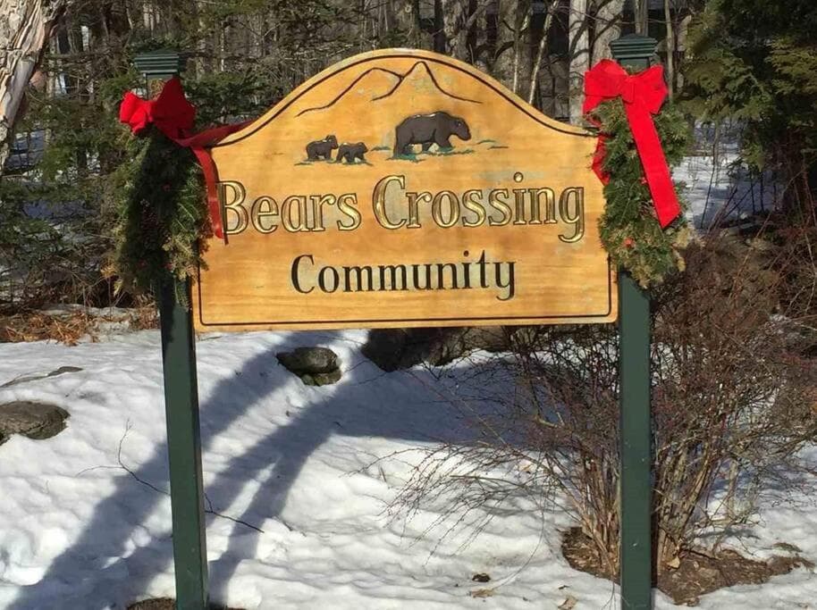 MT SNOW SKI BACK TRAIL FREE SHUTTLE Green Mountain Den gallery photo in Dover — image 4