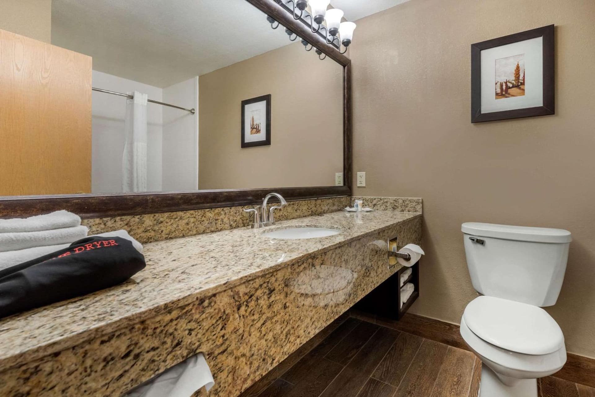 Comfort Suites near Route 66 gallery photo in Springfield, IL — image 26