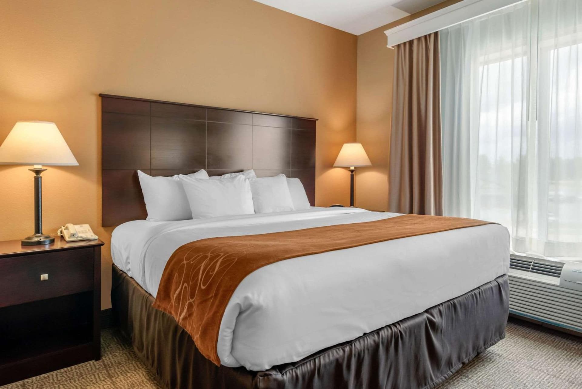 Comfort Suites near Route 66 gallery photo in Springfield, IL — image 14