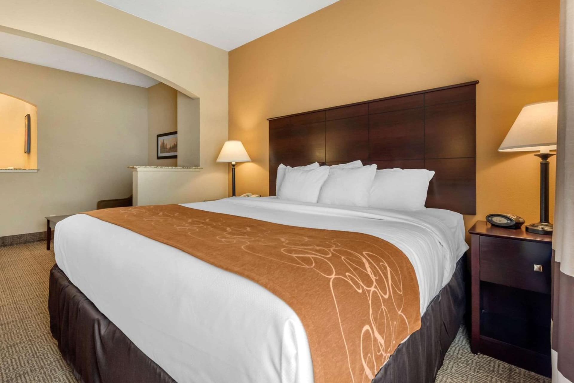 Comfort Suites near Route 66 gallery photo in Springfield, IL — image 21