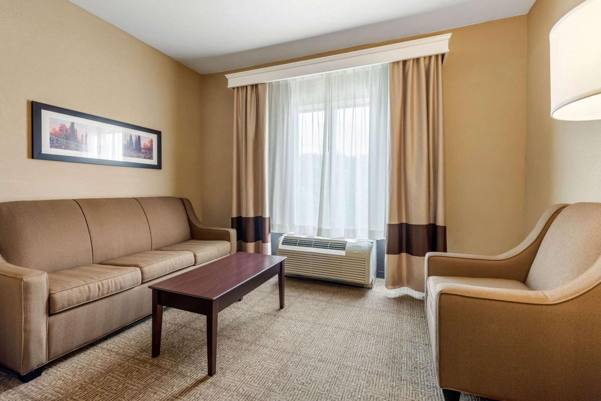 Comfort Suites near Route 66 gallery photo in Springfield, IL — image 9