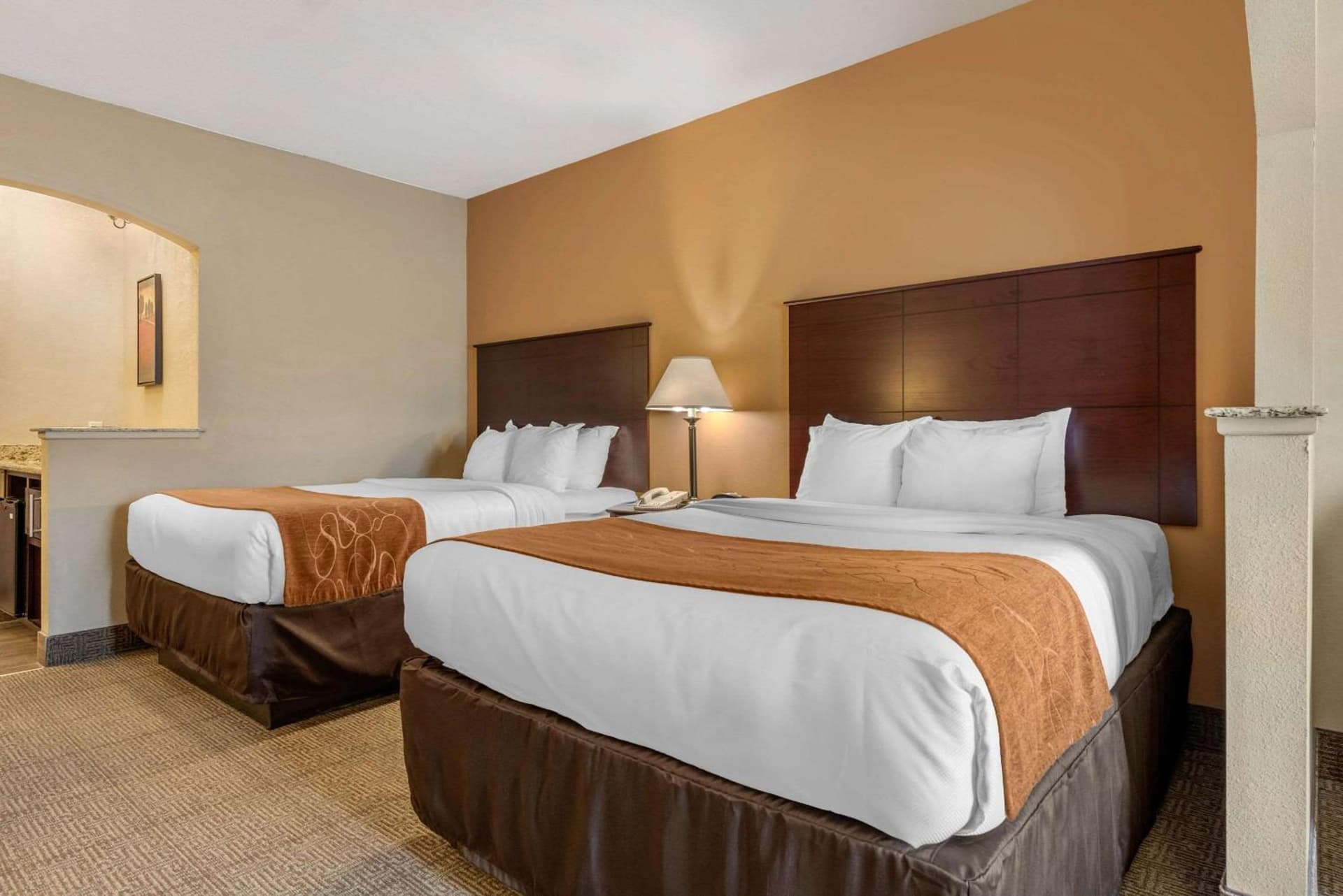 Comfort Suites near Route 66 gallery photo in Springfield, IL — image 33