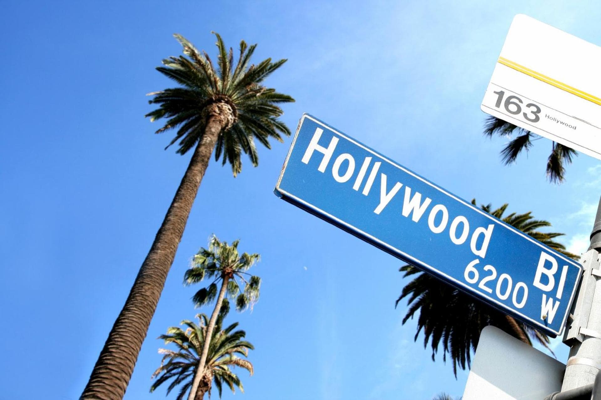 Kimpton Everly Hotel Hollywood by IHG gallery photo in Los Angeles, CA — image 50