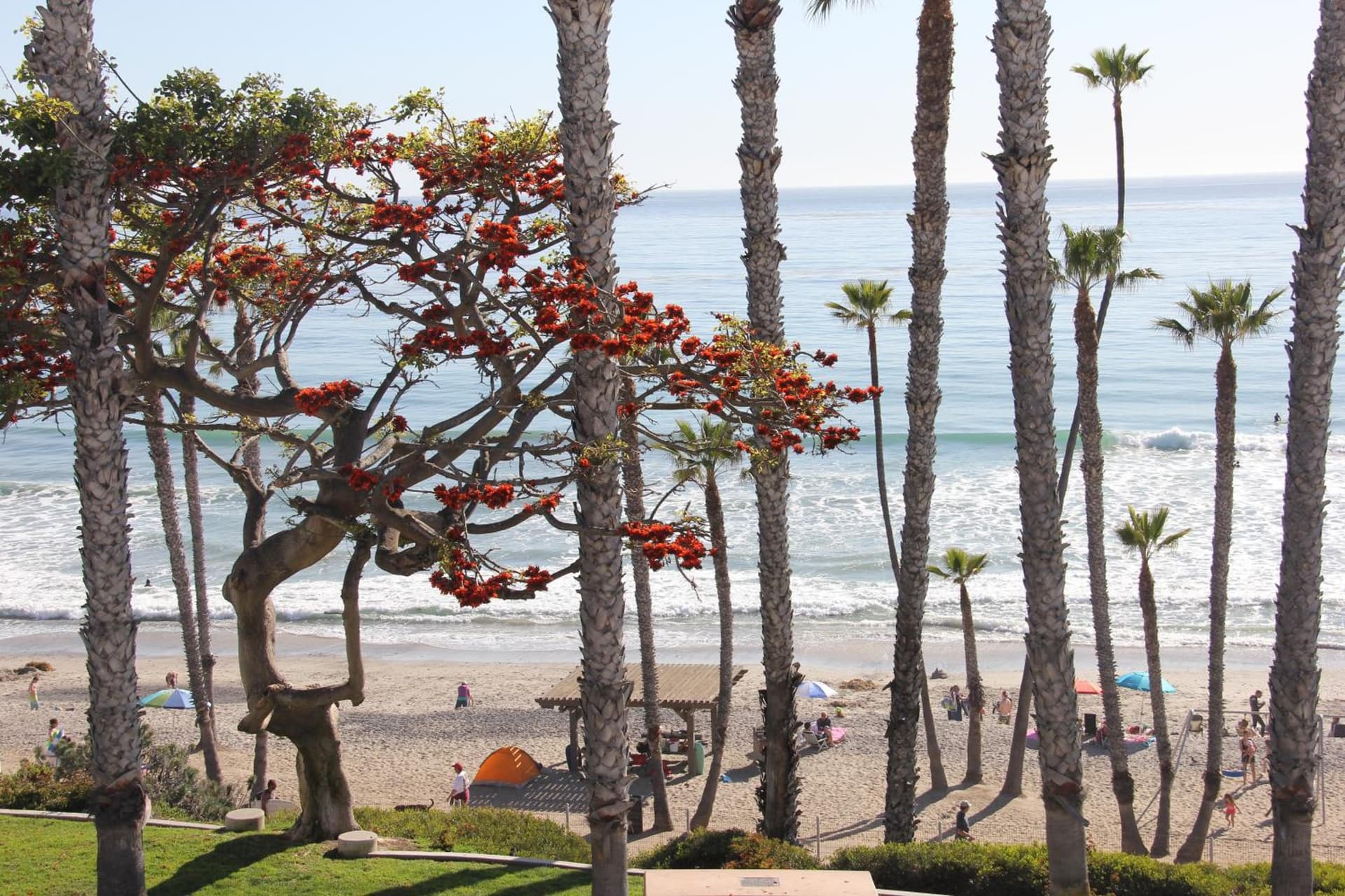 Sea Horse Resort gallery photo in San Clemente, CA — image 116