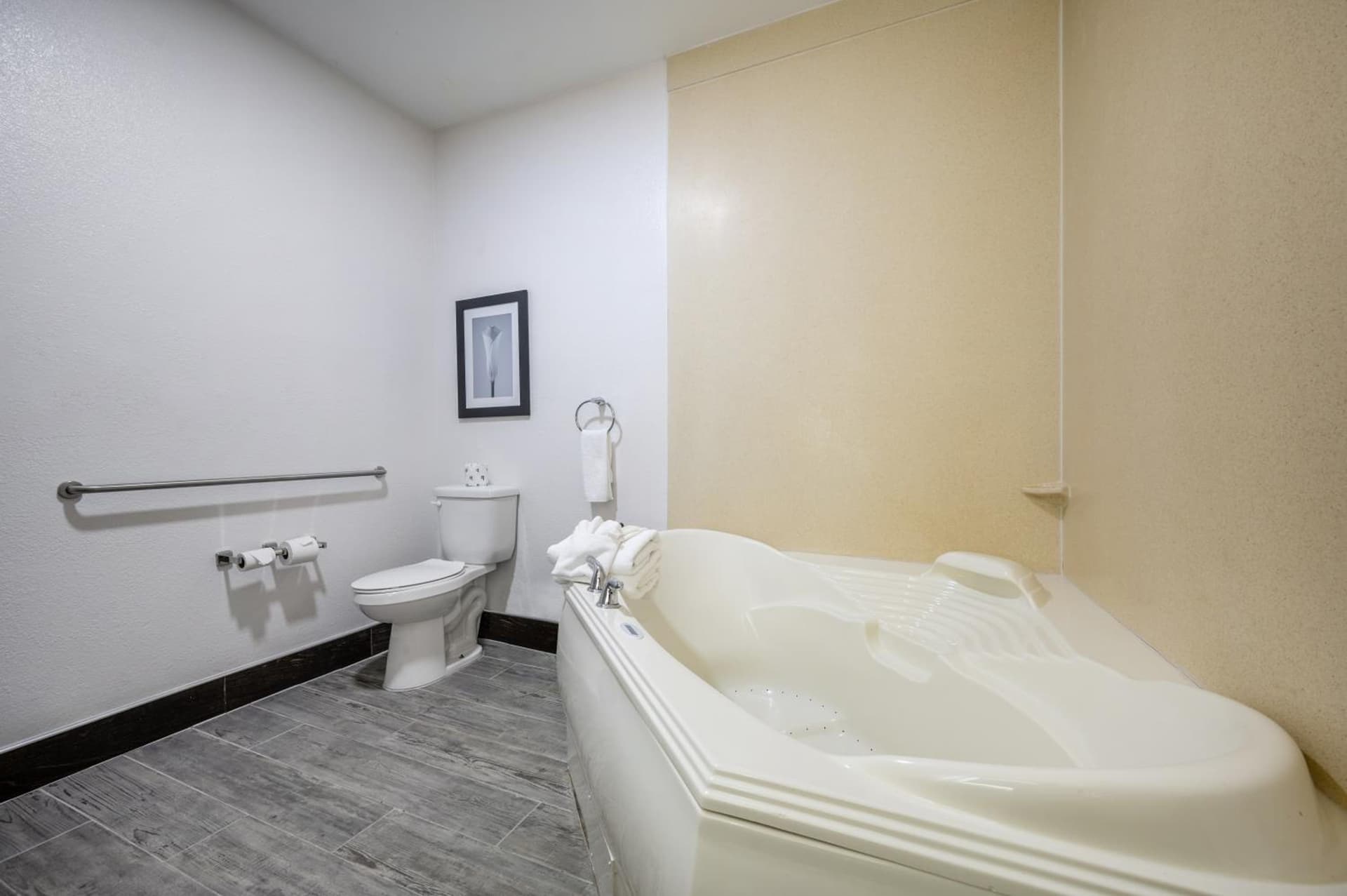 The Leo Collection Detroit, an Ascend Collection Hotel gallery photo in Lincoln Park, MI — image 73